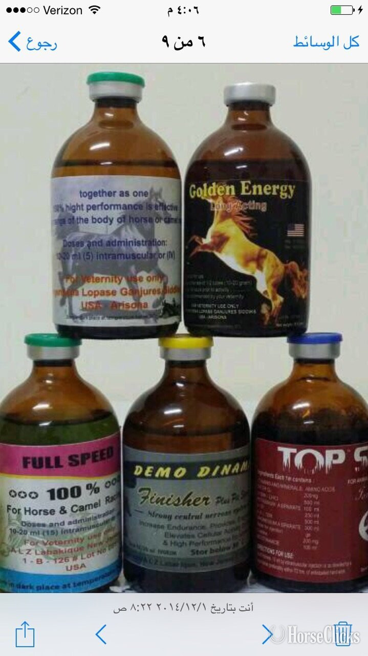 "Myo-lnositol Trispyrophosphate (ITPP)" Bay Gelding Other Breed in Florida