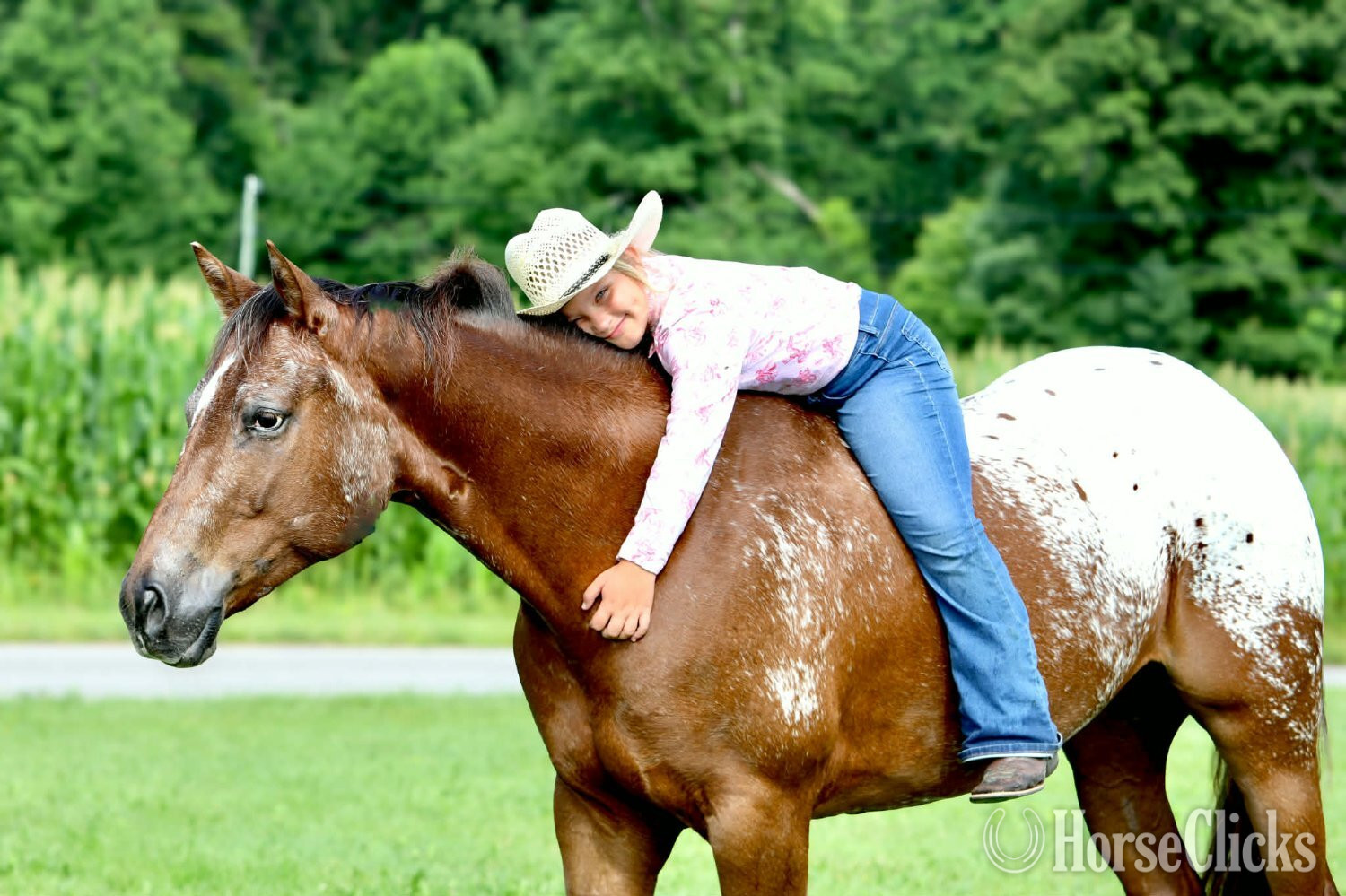 "Wheels " Sorrel Gelding Appaloosa - Appaloosa