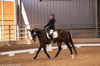 "Flicka" Bay Mare Thoroughbred