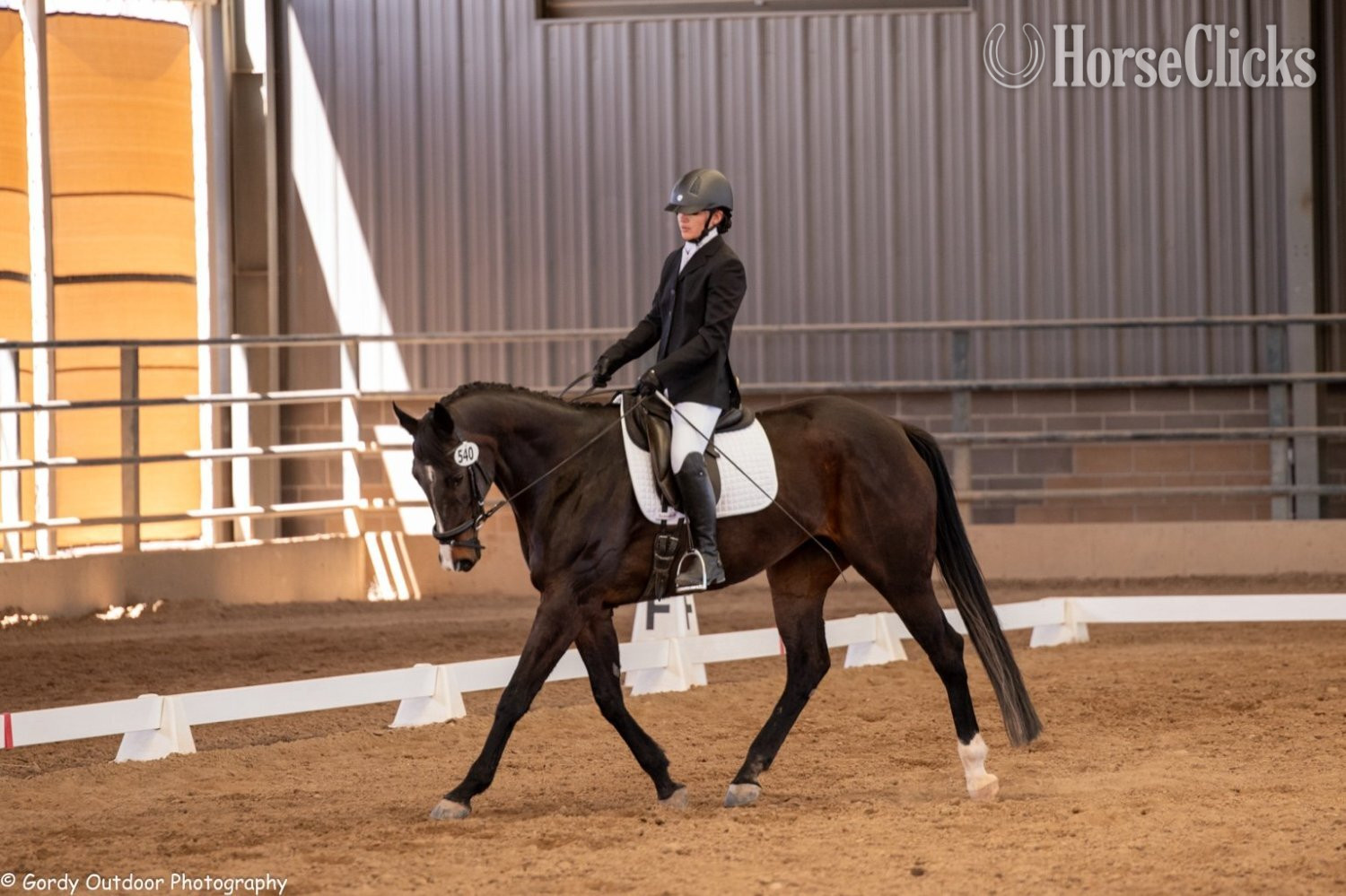 "Flicka" Bay Mare Thoroughbred in Utah