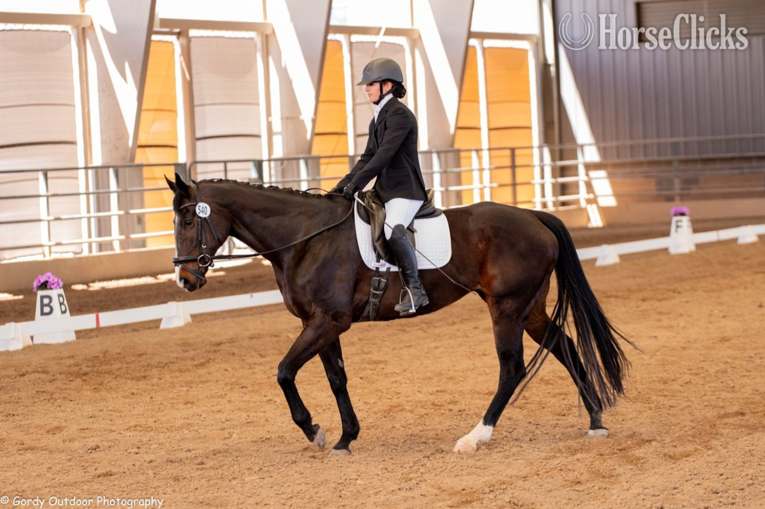 "Flicka" Bay Mare Thoroughbred