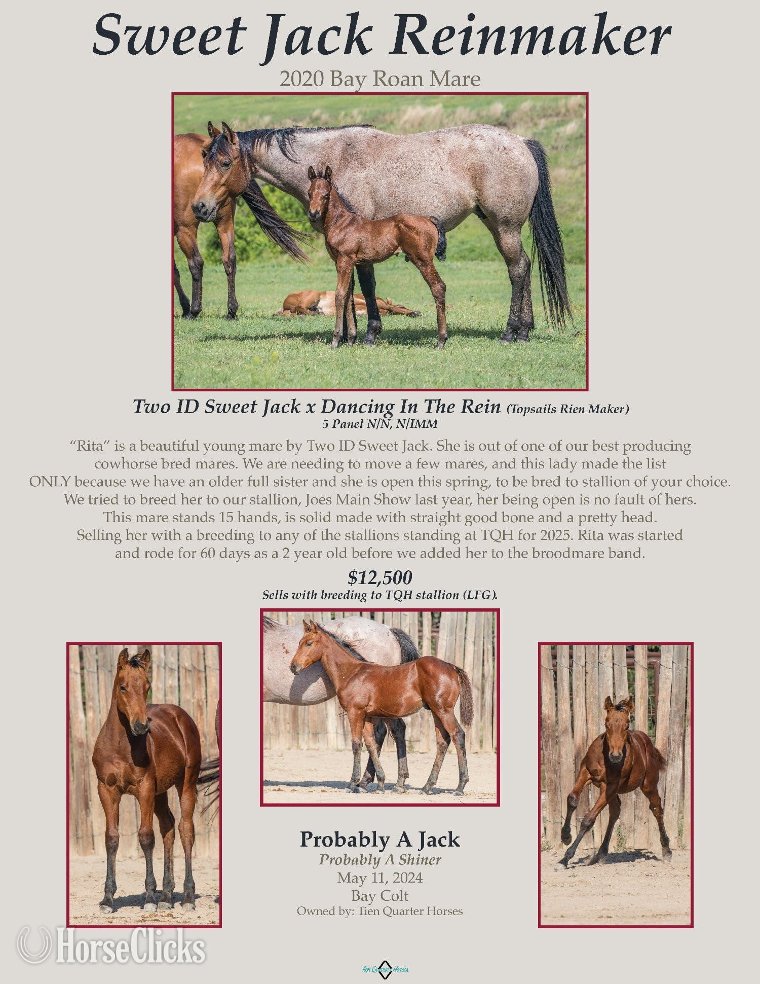 "Sweet Jack Reinmaker" Bay Roan Mare Quarter Horse in Kansas