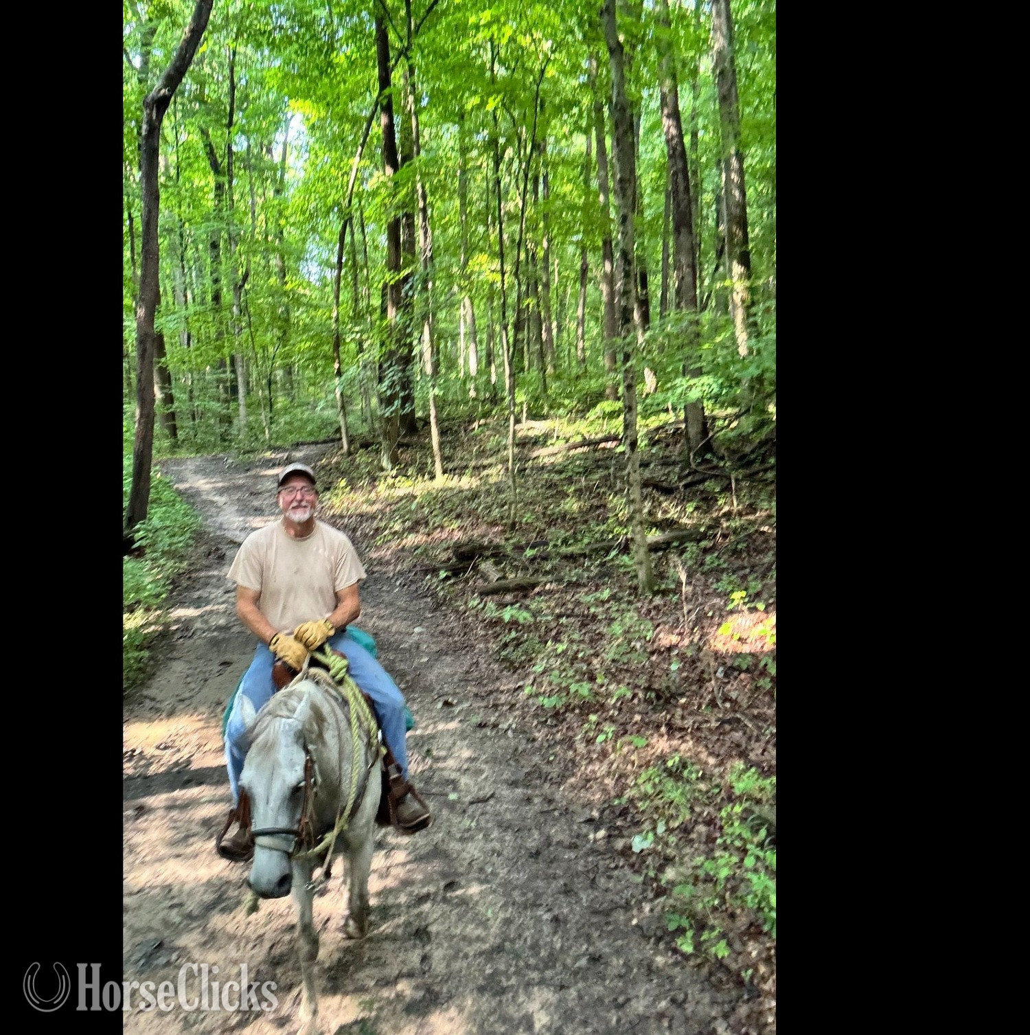 "Axel" White Gelding Quarter Horse - Quarter Horse