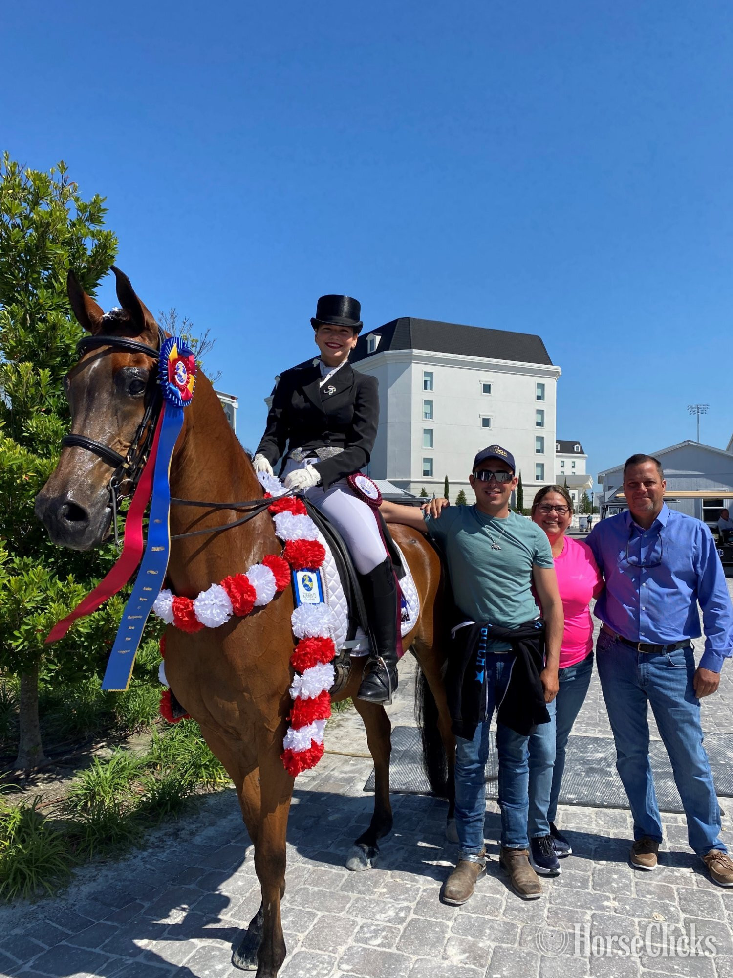 Florida "A Revelation BHA" Bay Gelding Arabian