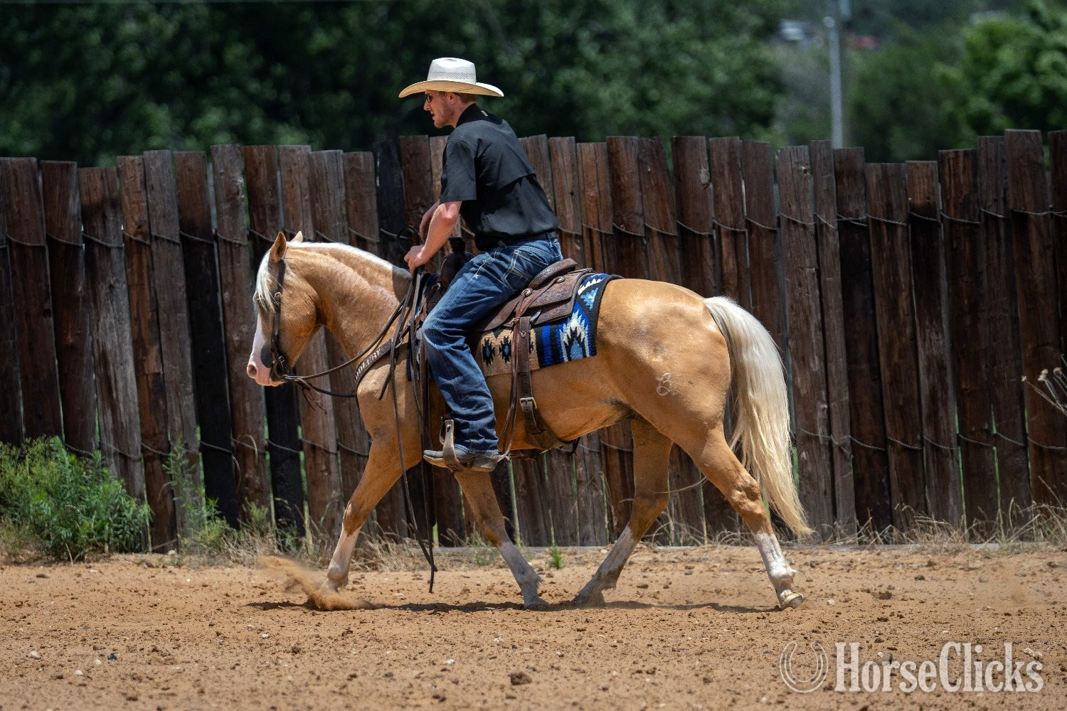 "Brumby" Palomino Gelding Quarter Pony