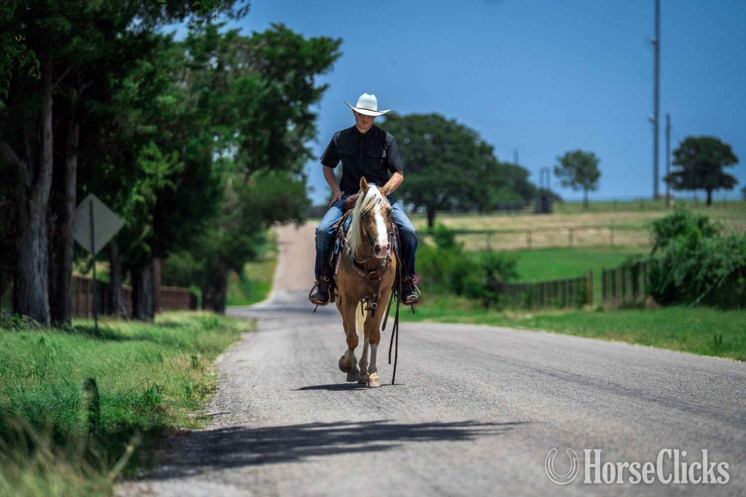 "Brumby" Palomino Gelding Quarter Pony - Quarter Pony in Texas