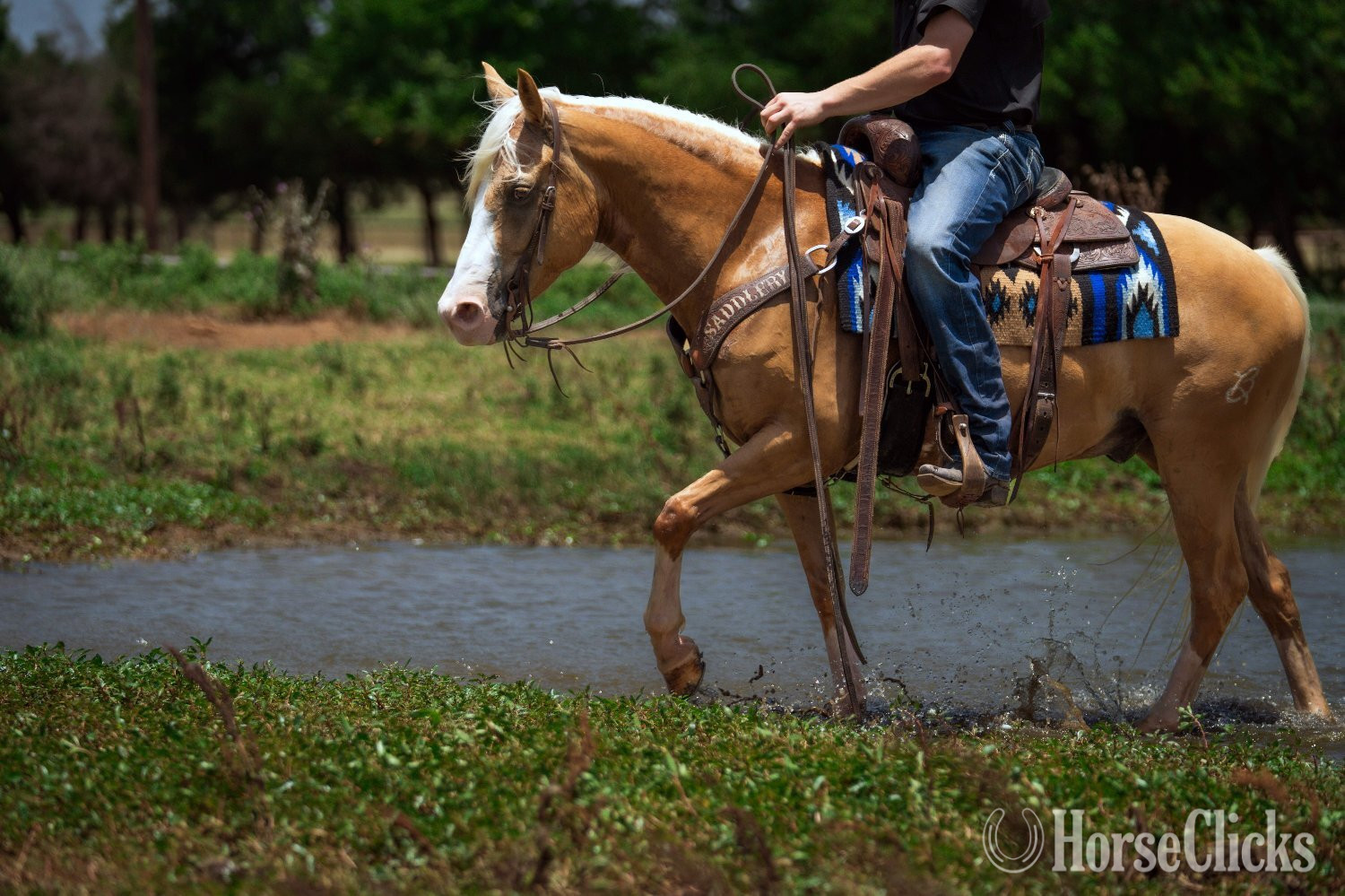 "Brumby" Palomino Gelding Quarter Pony - Quarter Pony