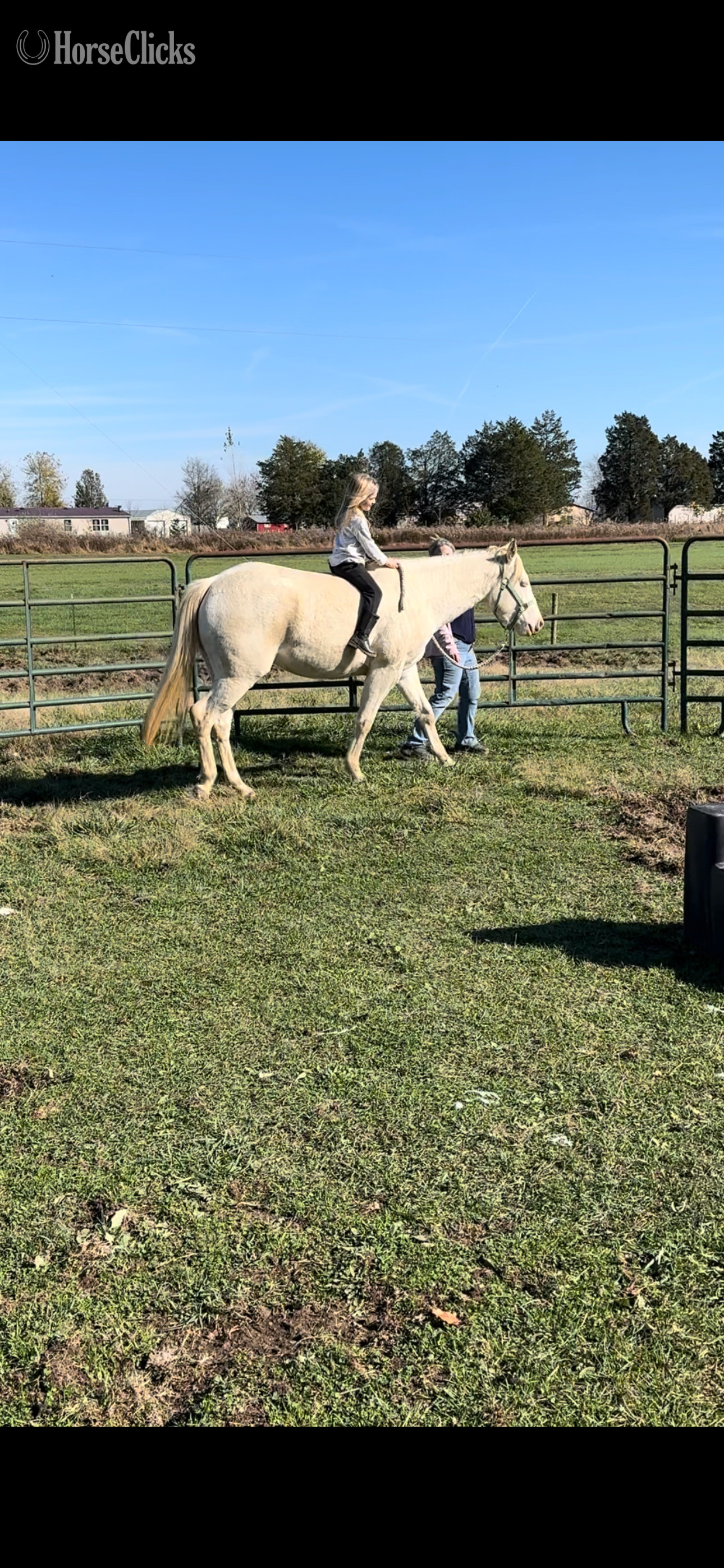 "Cottons Artic Jewel (Bree)" Perlino Mare Quarter Horse - Quarter Horse