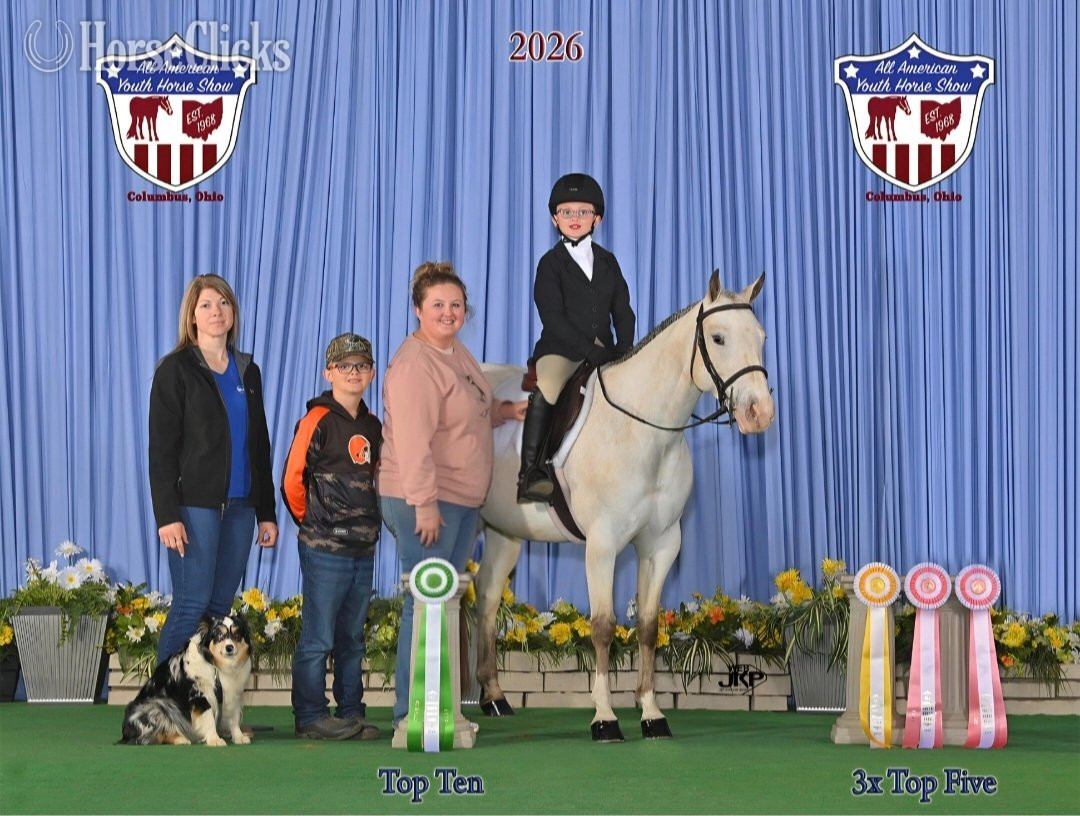 "Laced to Impress" Buckskin Mare Quarter Pony
