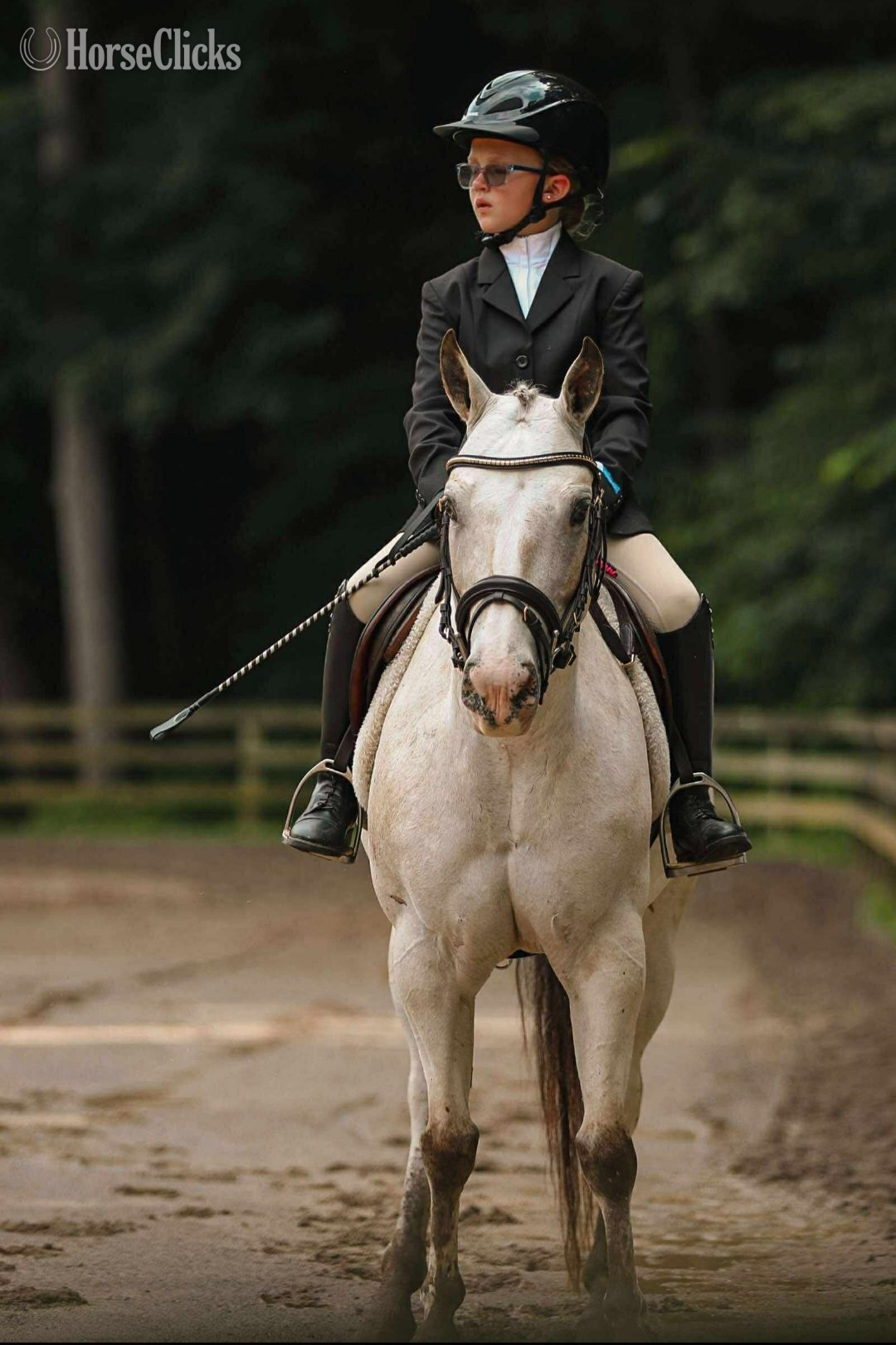 Ohio "Laced to Impress" Buckskin Mare Quarter Pony