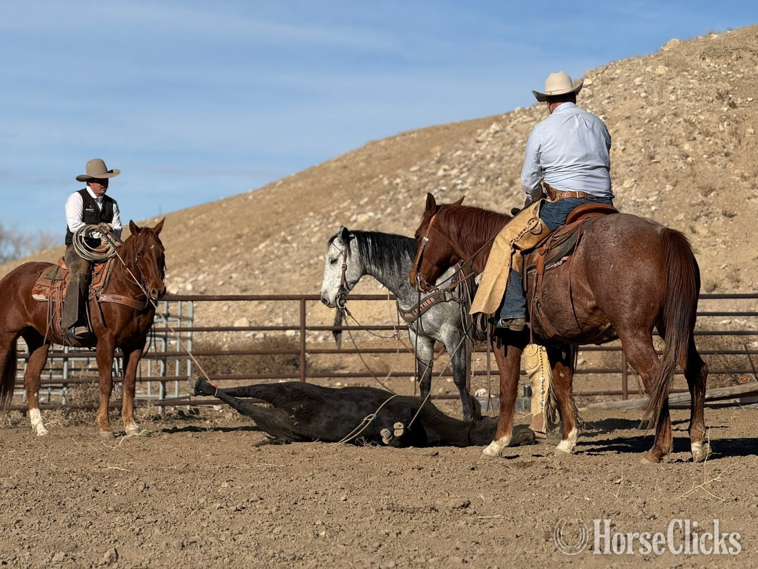 Quarter Horse - "Jake" Red Roan Gelding Quarter Horse in Wyoming