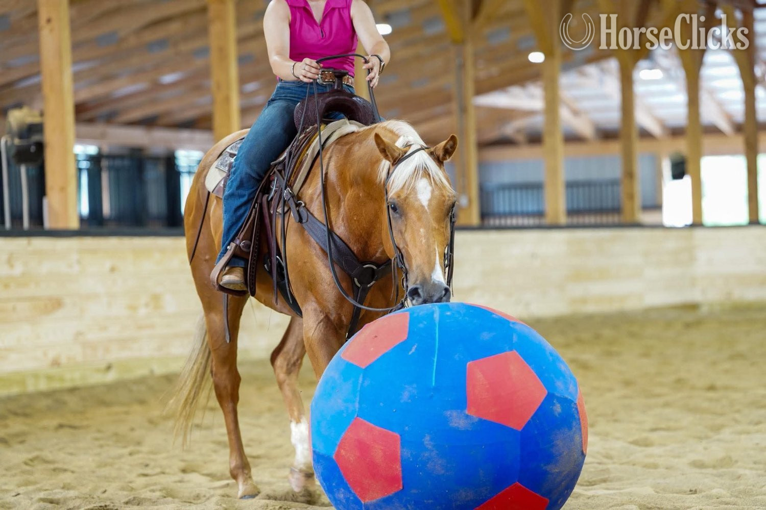 Quarter Horse - "Dorito " Palomino Gelding Quarter Horse
