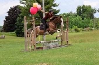 "PAINT BY DESIGN "BOB""  Gelding Paint