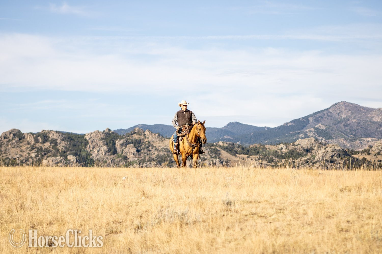"Dutch" Dun Gelding Quarter Horse Wyoming