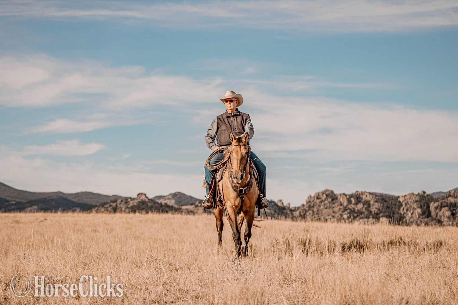 Quarter Horse - "Dutch" Dun Gelding Quarter Horse in Wyoming