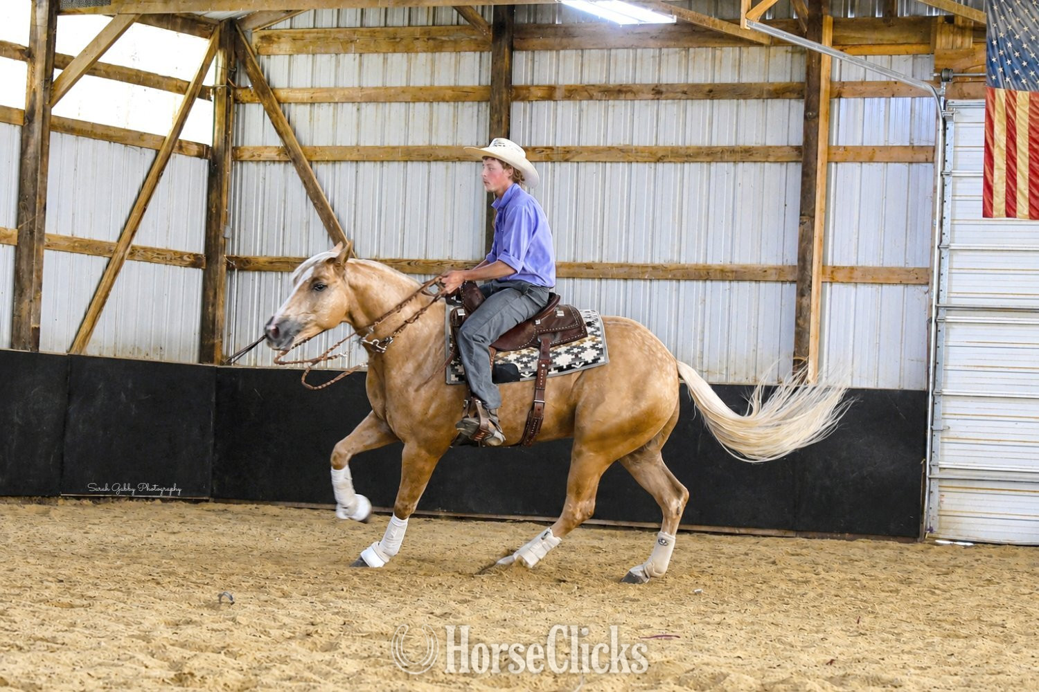 "Boon" Palomino Gelding Quarter Horse - Quarter Horse