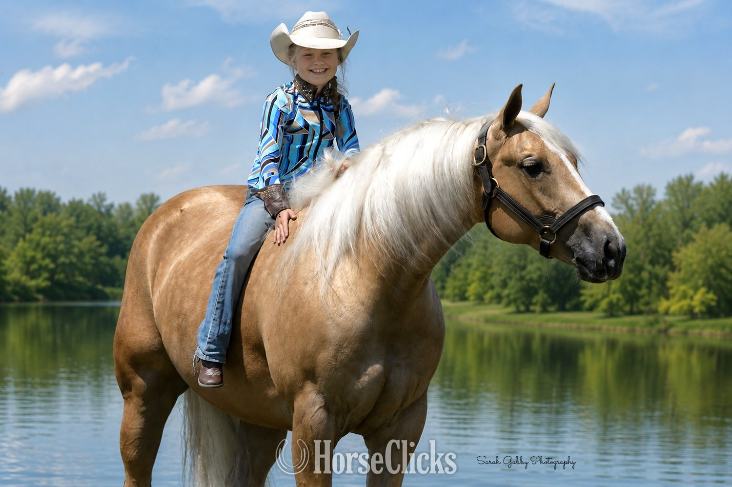 Quarter Horse - "Boon" Palomino Gelding Quarter Horse in Iowa