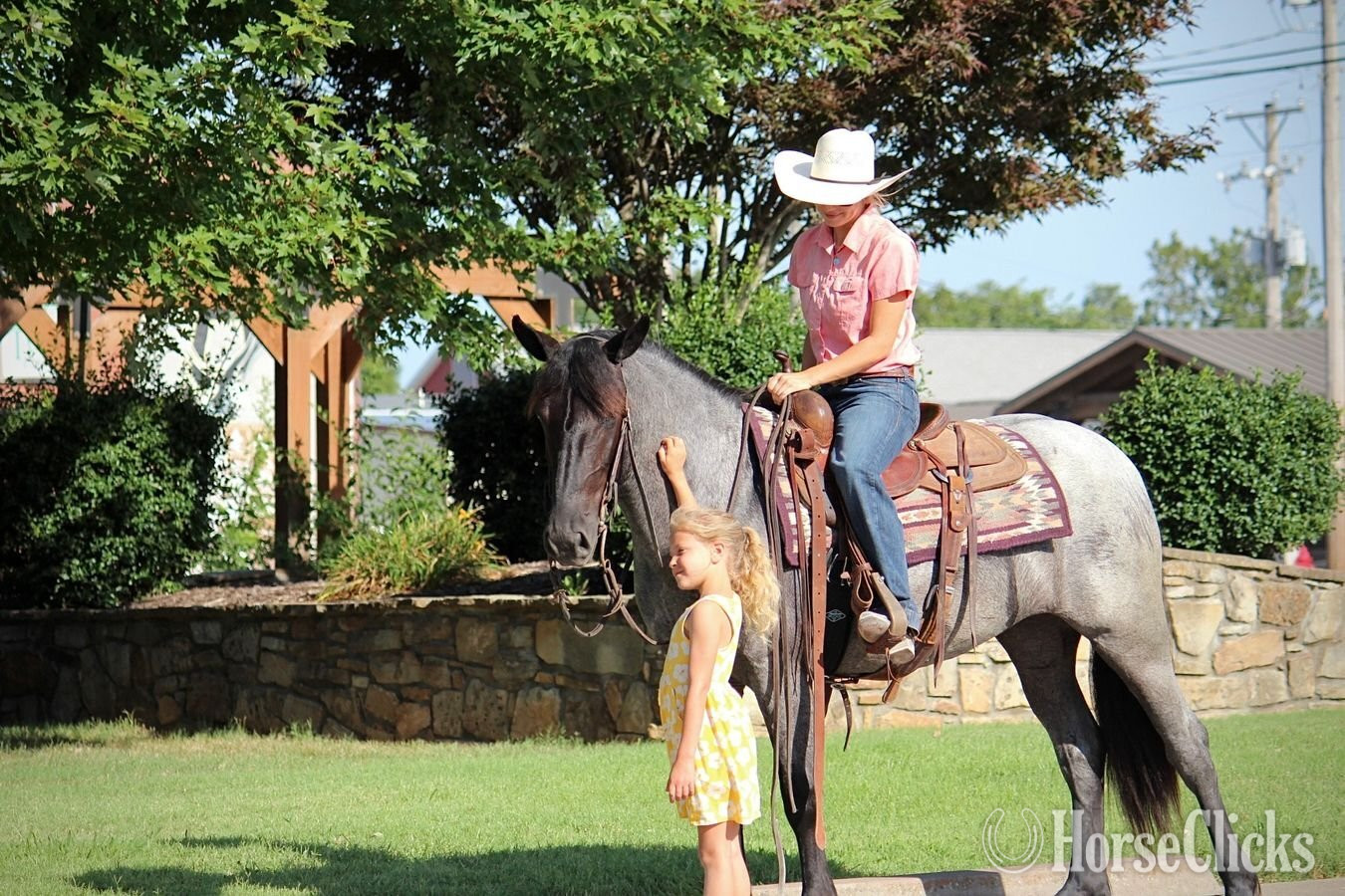 "Blueberry" Blue Roan Mare Pony Missouri