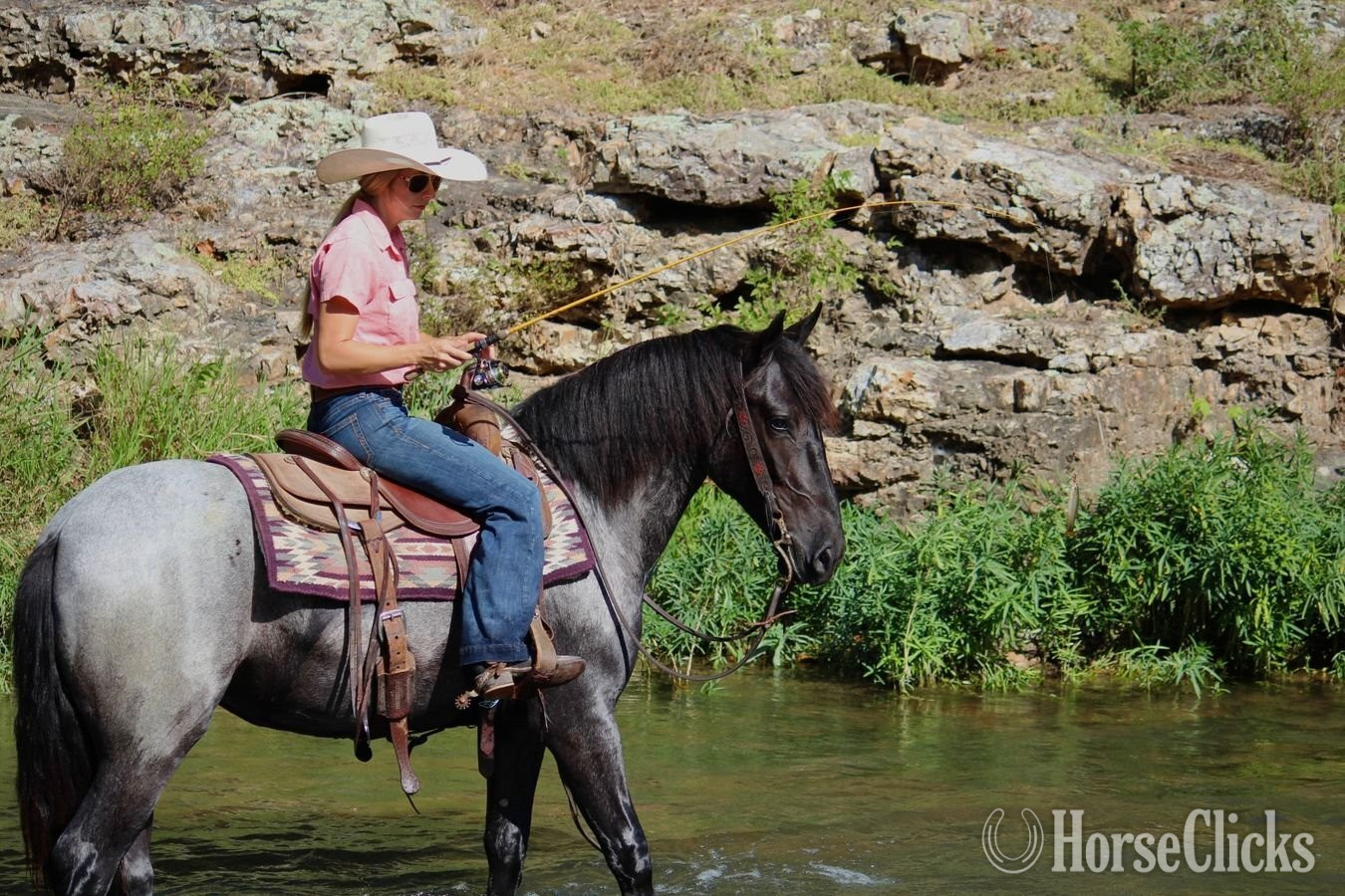 Pony - "Blueberry" Blue Roan Mare Pony in Missouri