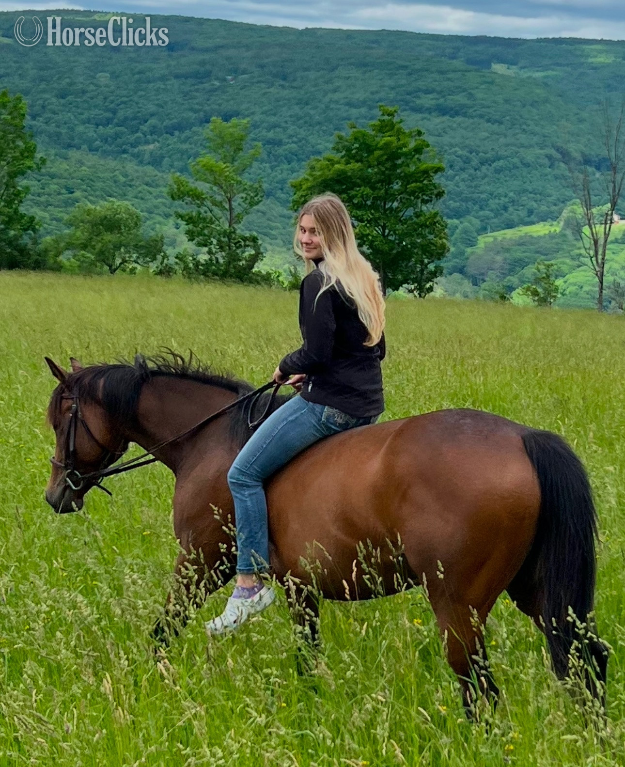 "Piper" Bay Mare Thoroughbred