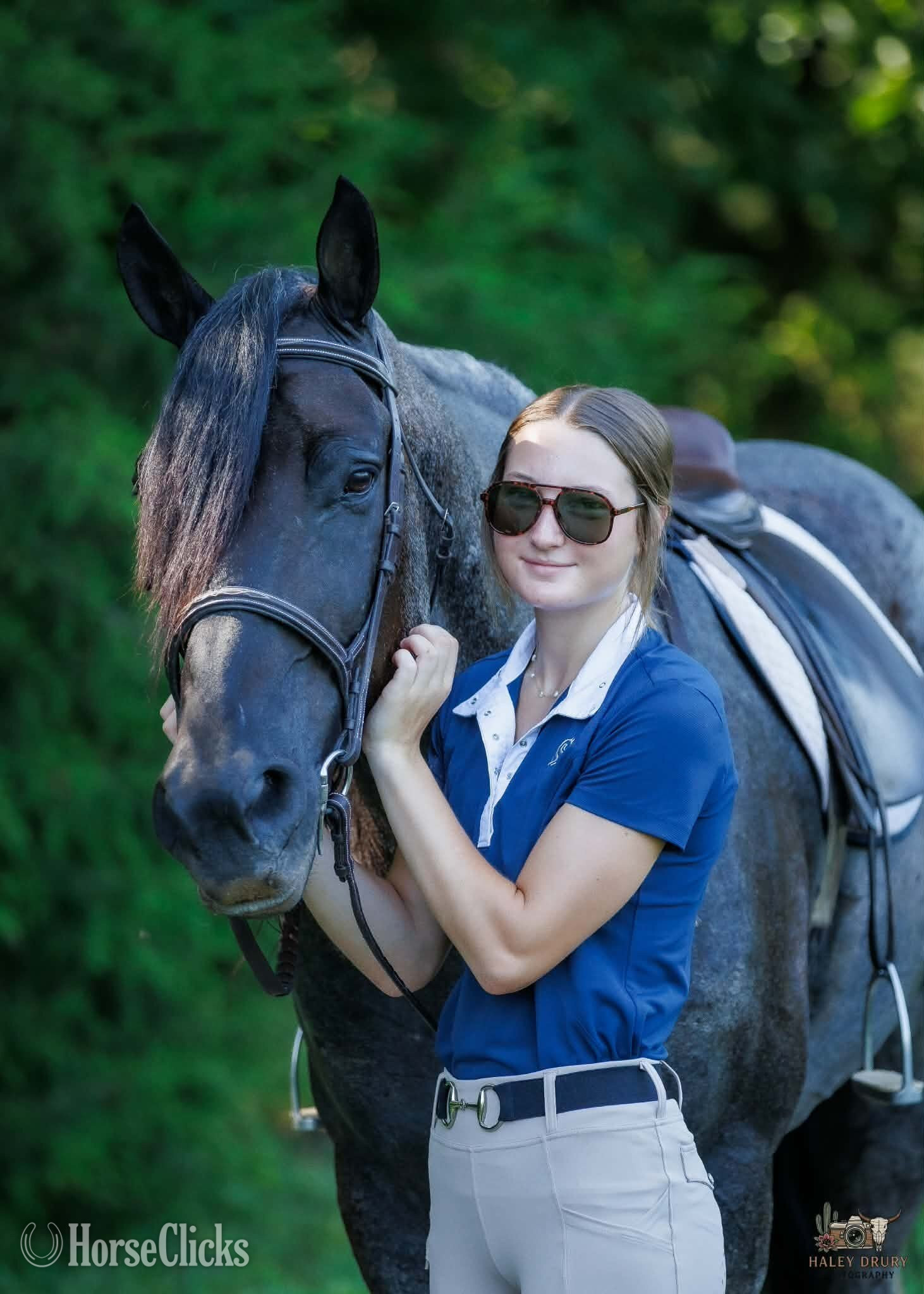 Kentucky "Beaumont " Blue Roan Gelding Percheron