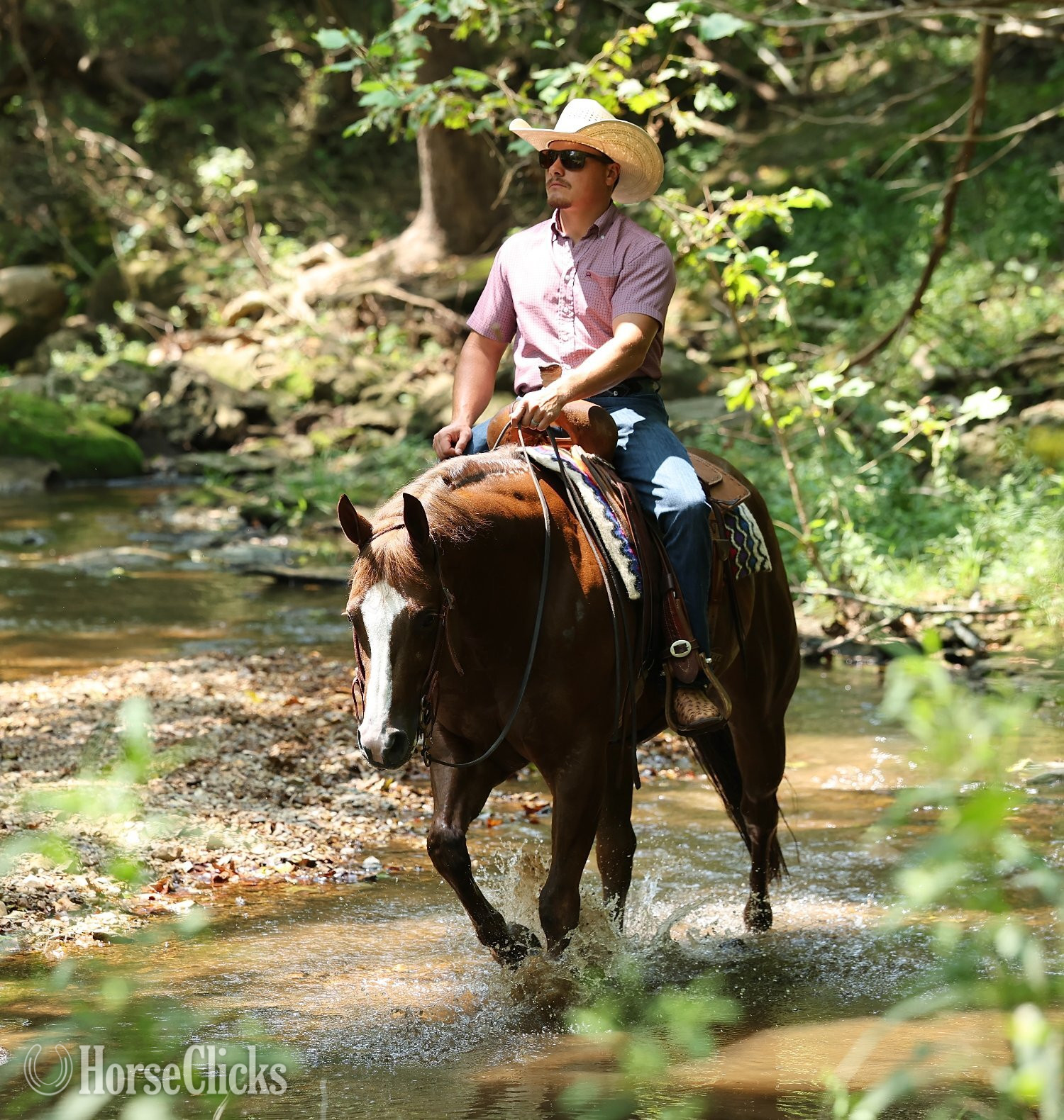 "Joe The Whoa" Chestnut Gelding Quarter Horse