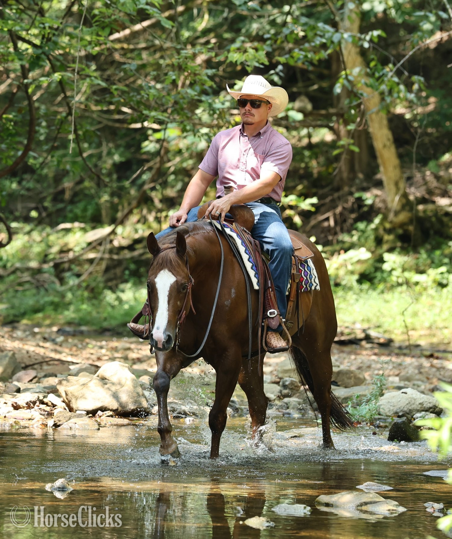 Missouri "Joe The Whoa" Chestnut Gelding Quarter Horse