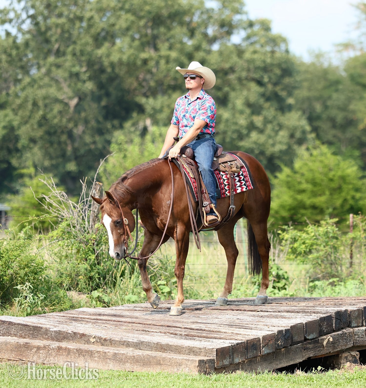 "Joe The Whoa" Chestnut Gelding Quarter Horse Missouri