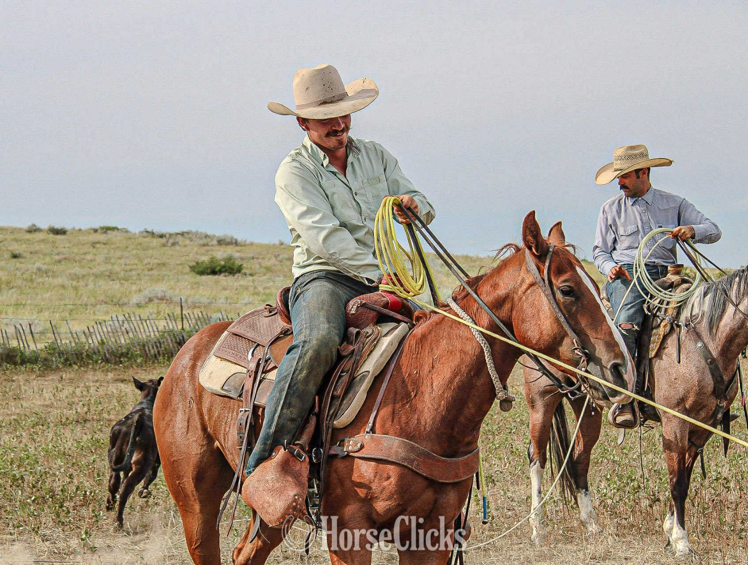 "Johnny " Sorrel Gelding Quarter Horse - Quarter Horse