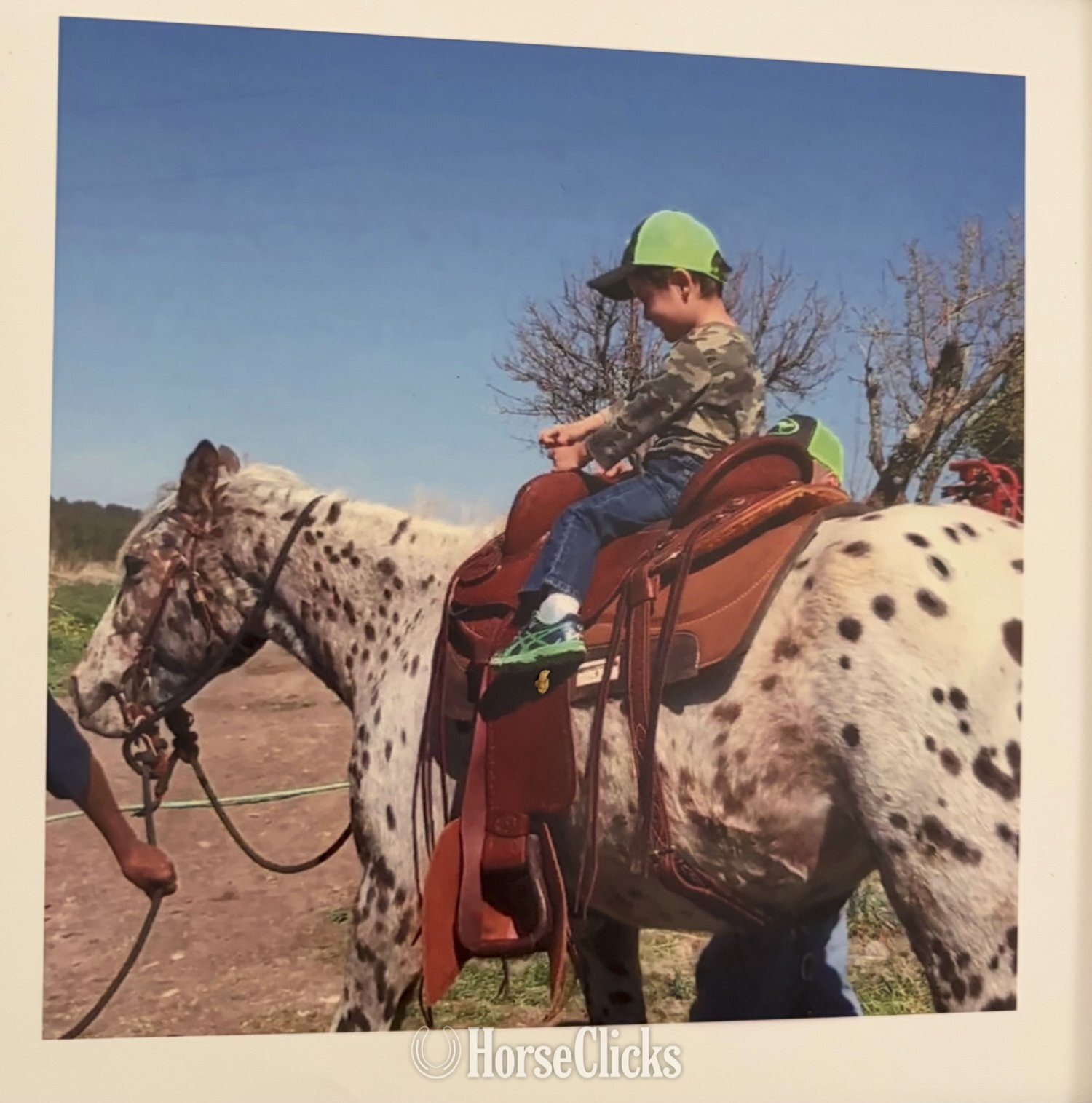 "Legacy Winter Love" Spotted Mare Appaloosa - Appaloosa in New Mexico