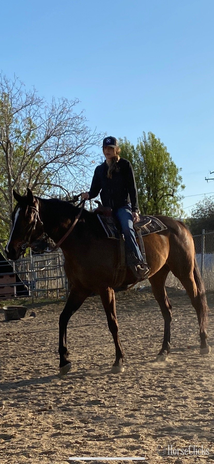"Riverka" Bay Mare Thoroughbred in California