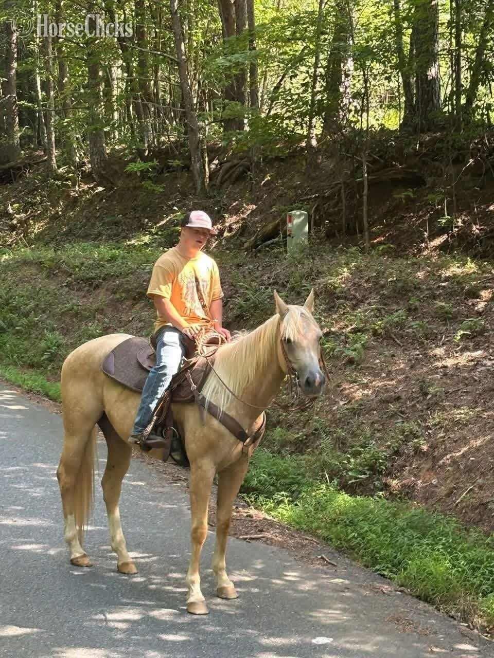 Pennsylvania "Misty" Palomino Mare Quarter Pony