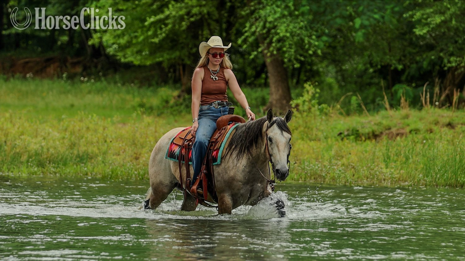 Arkansas "Mecom Royal Sandman" Grey Gelding Quarter Horse