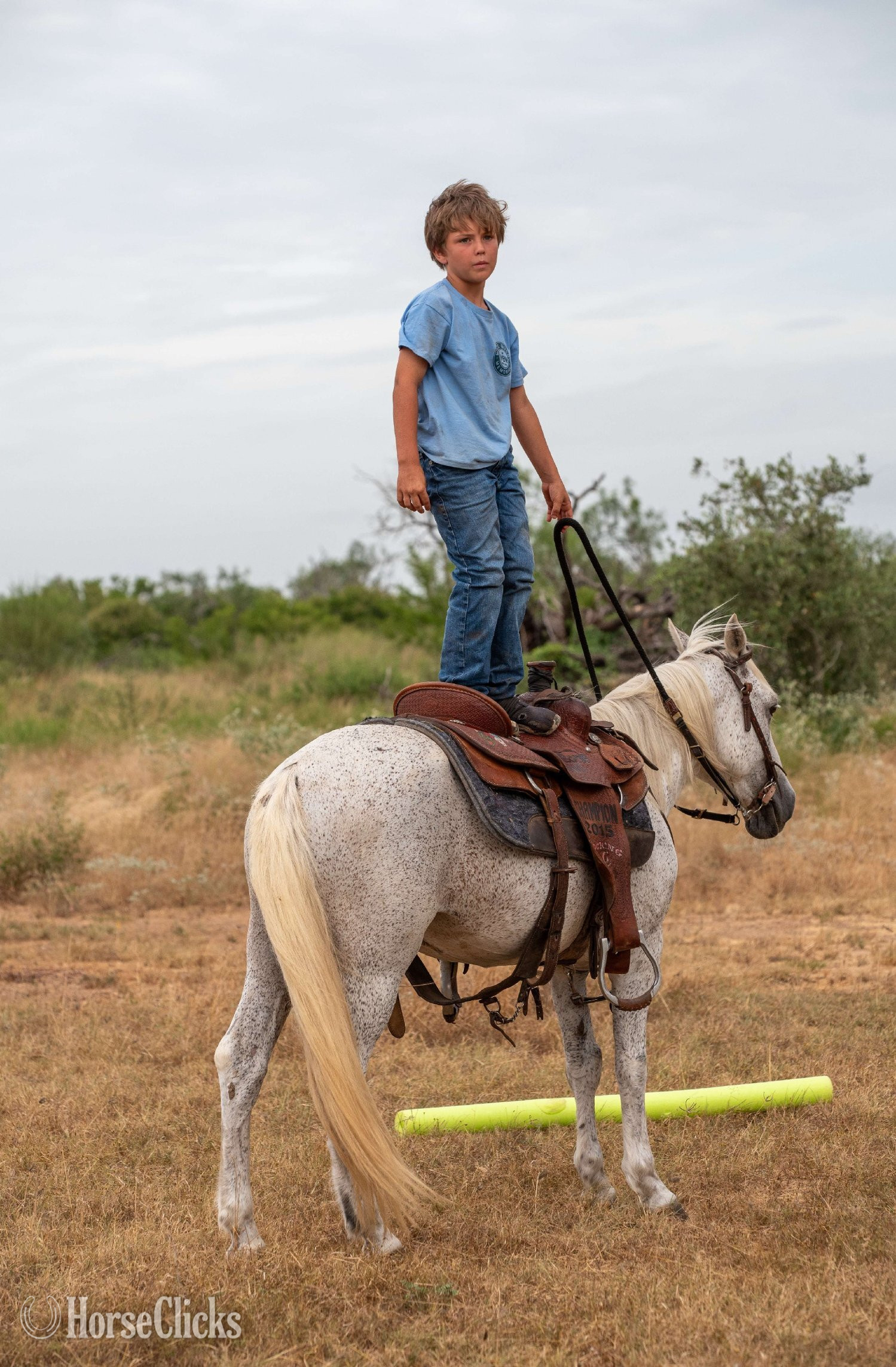"SMOKE" Grey Gelding Pony Texas