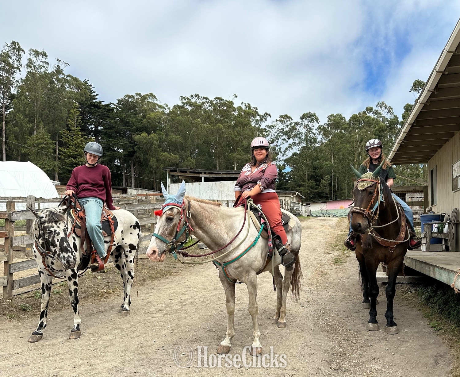 California "Thunder" Bay Gelding Warmblood