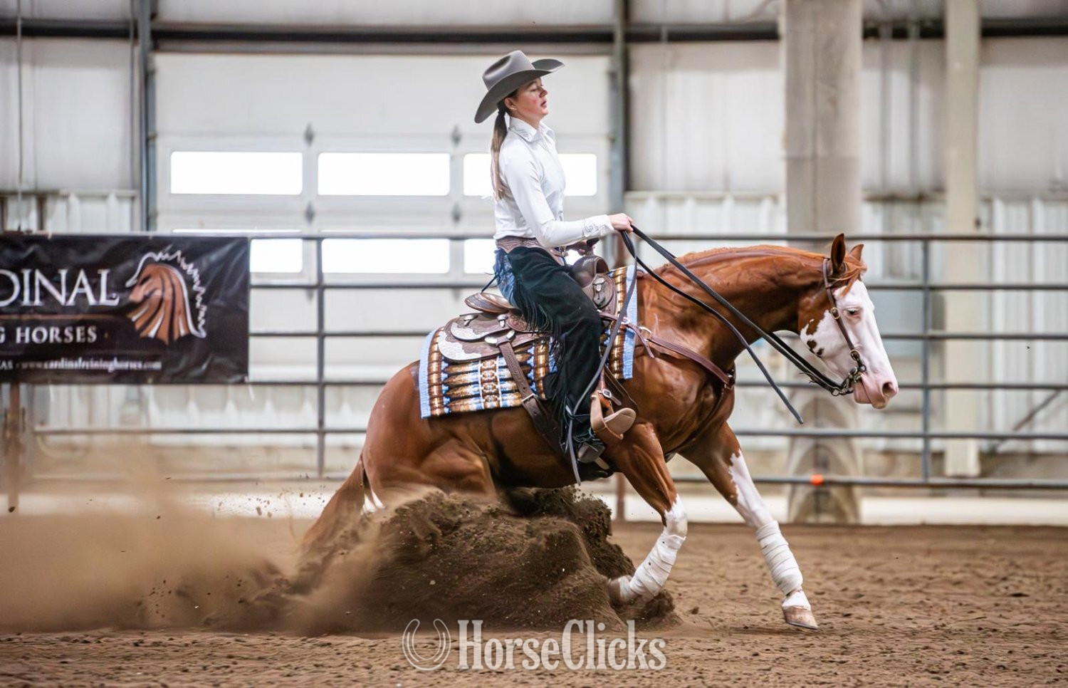 "Dawg" Sorrel Gelding Quarter Horse