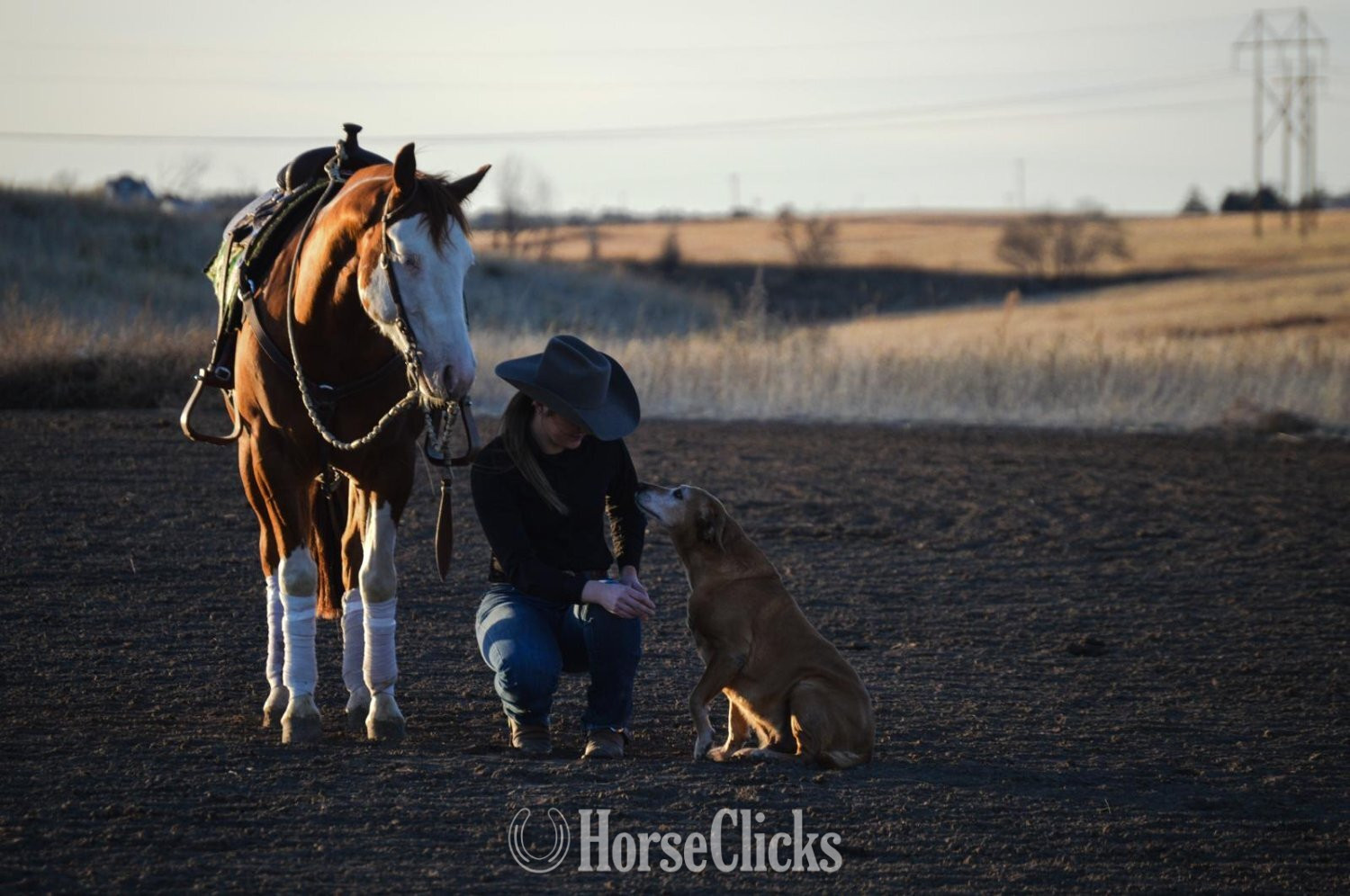 Colorado "Dawg" Sorrel Gelding Quarter Horse