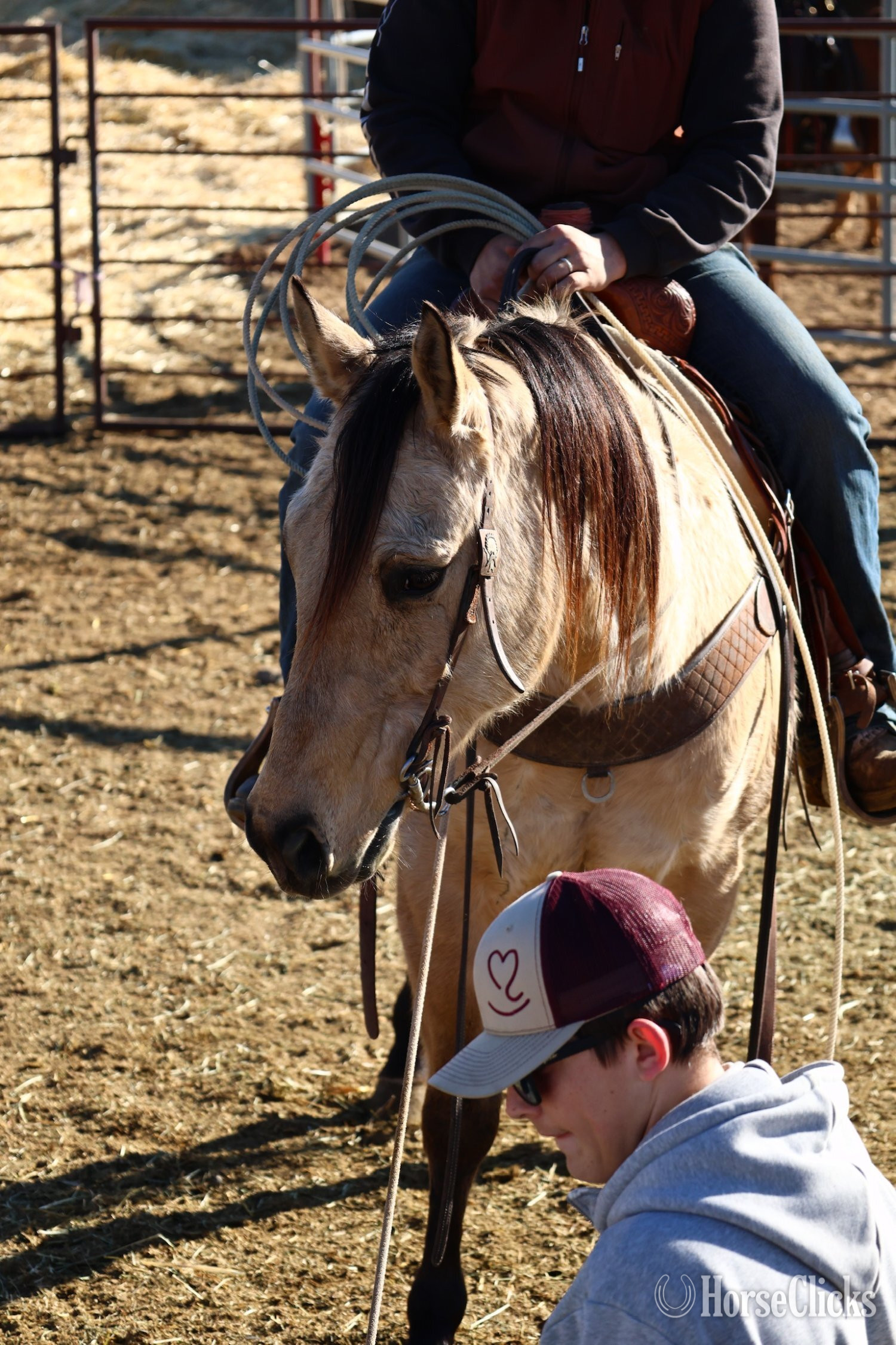 "Chex" Buckskin Gelding Quarter Horse - Quarter Horse in Wyoming