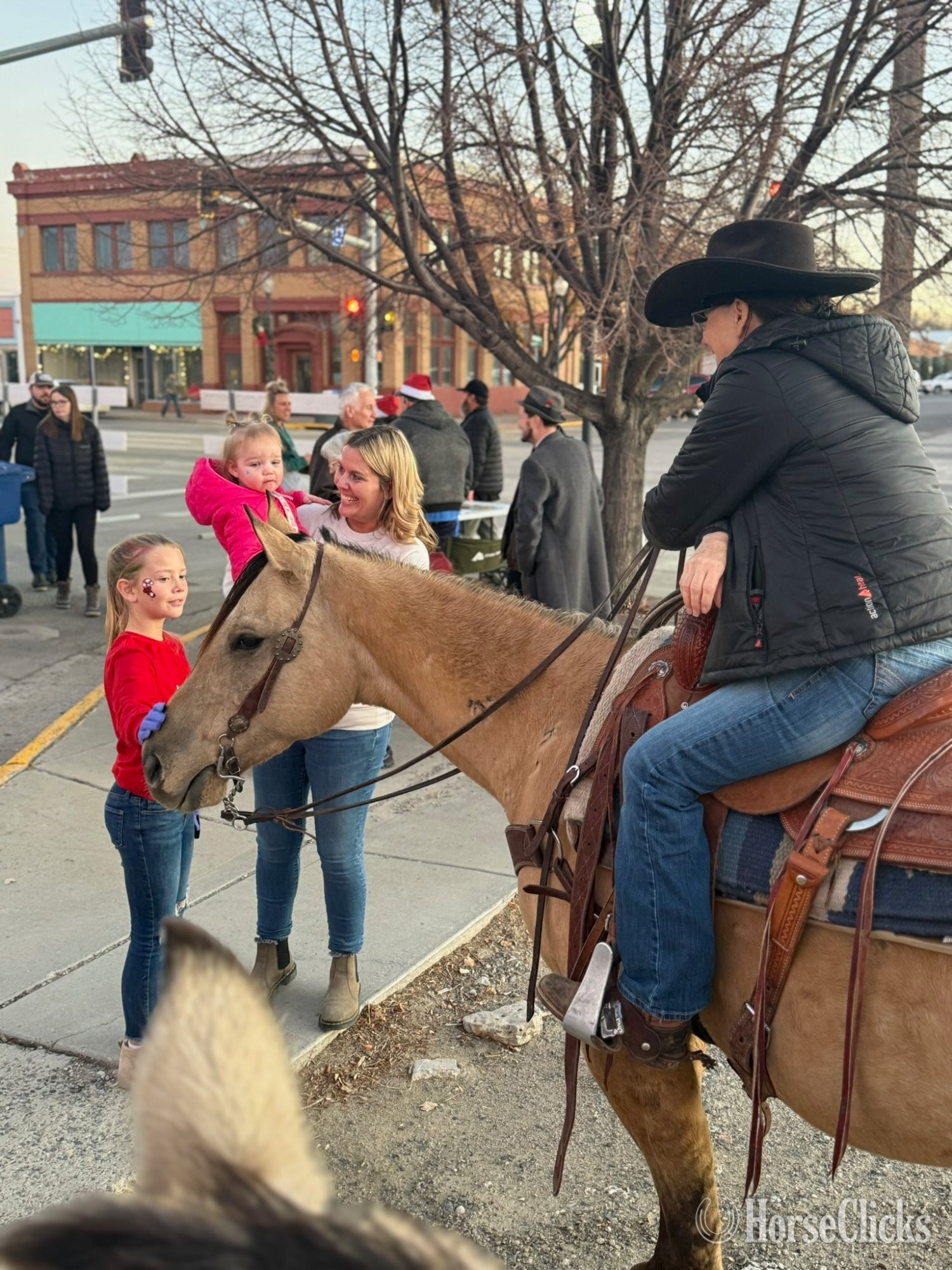 "Chex" Buckskin Gelding Quarter Horse Wyoming