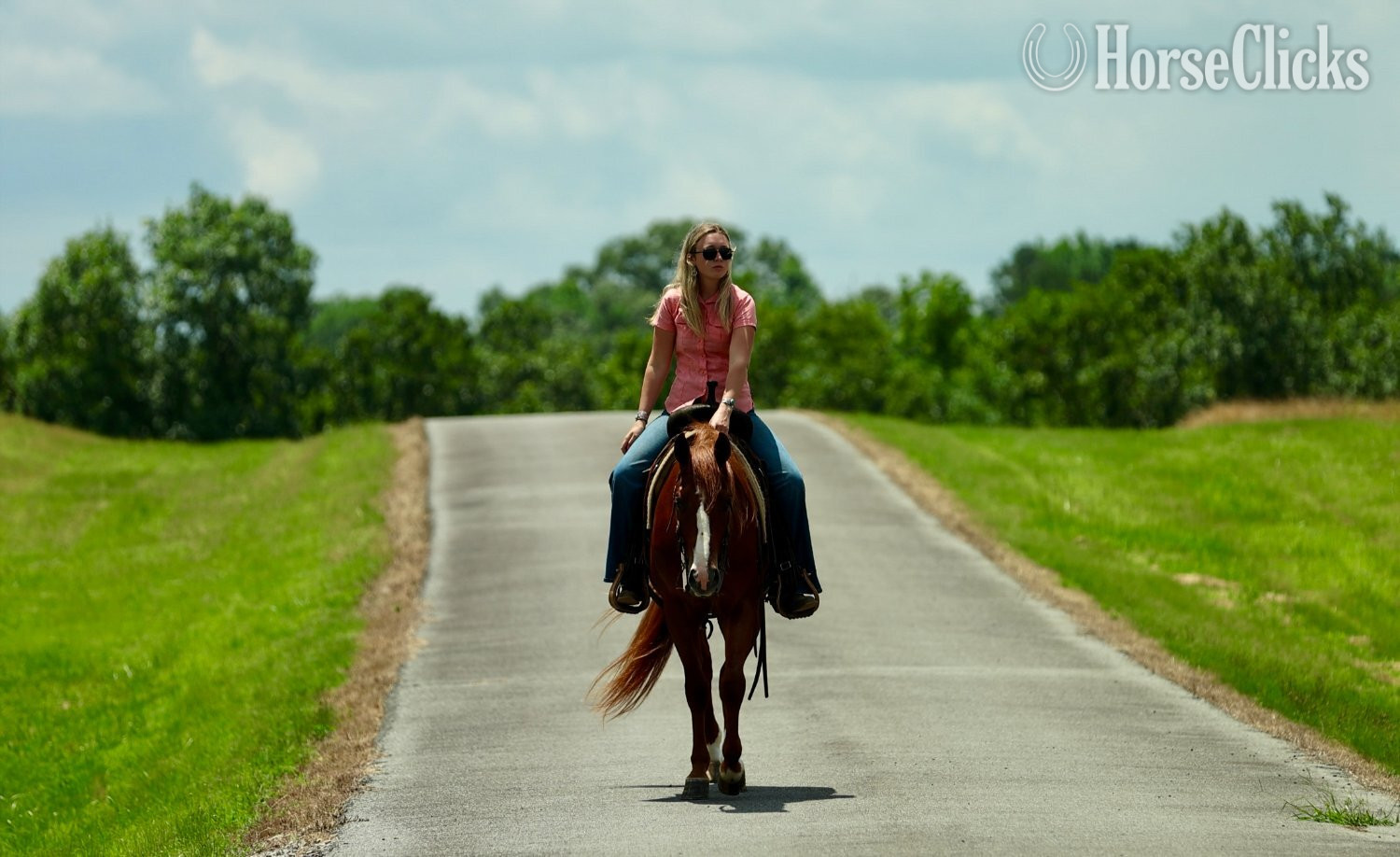 "Swish" Sorrel Gelding Quarter Horse Arkansas