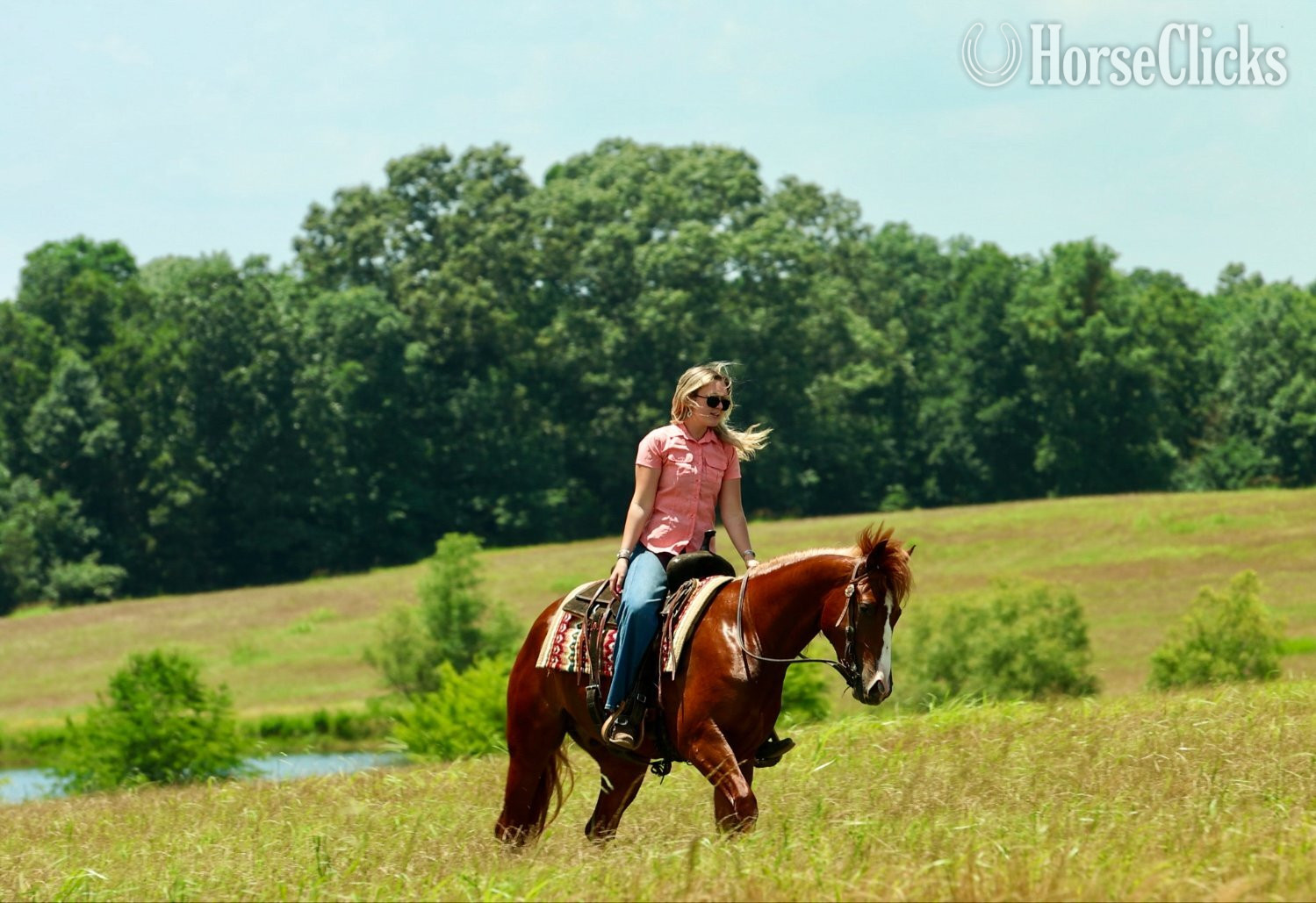 Quarter Horse - "Swish" Sorrel Gelding Quarter Horse in Arkansas