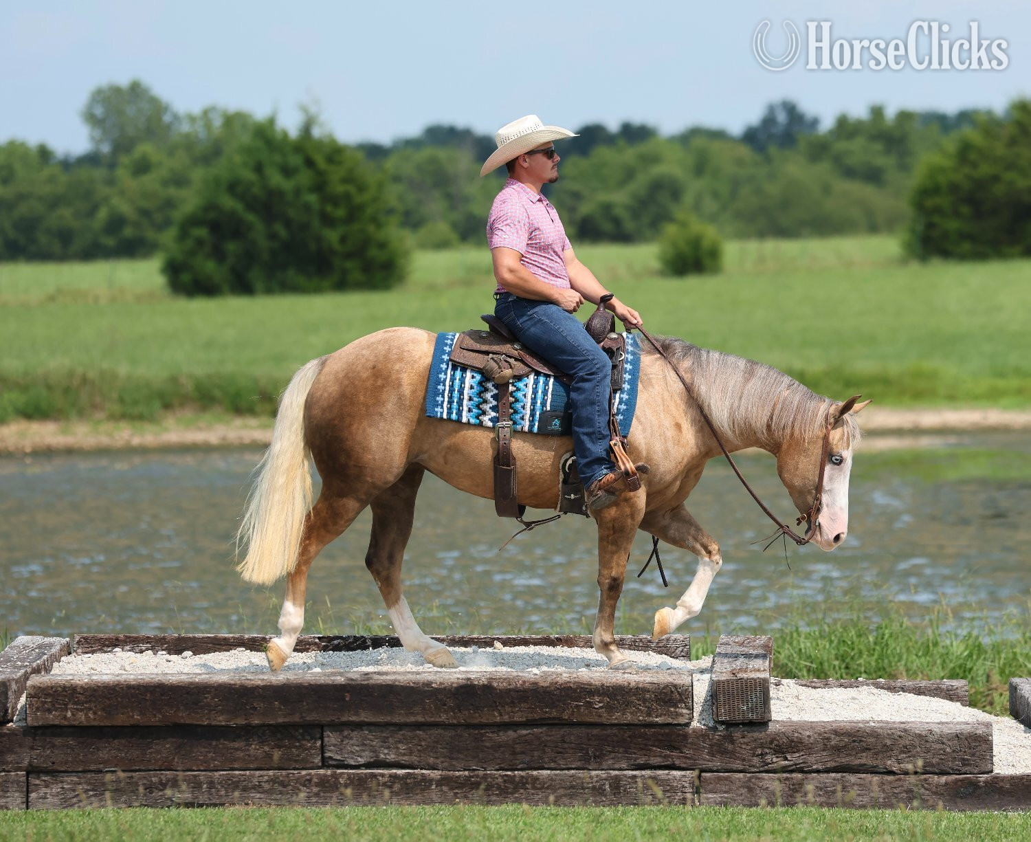 "Little Miss Inferno" Palomino Mare Quarter Horse
