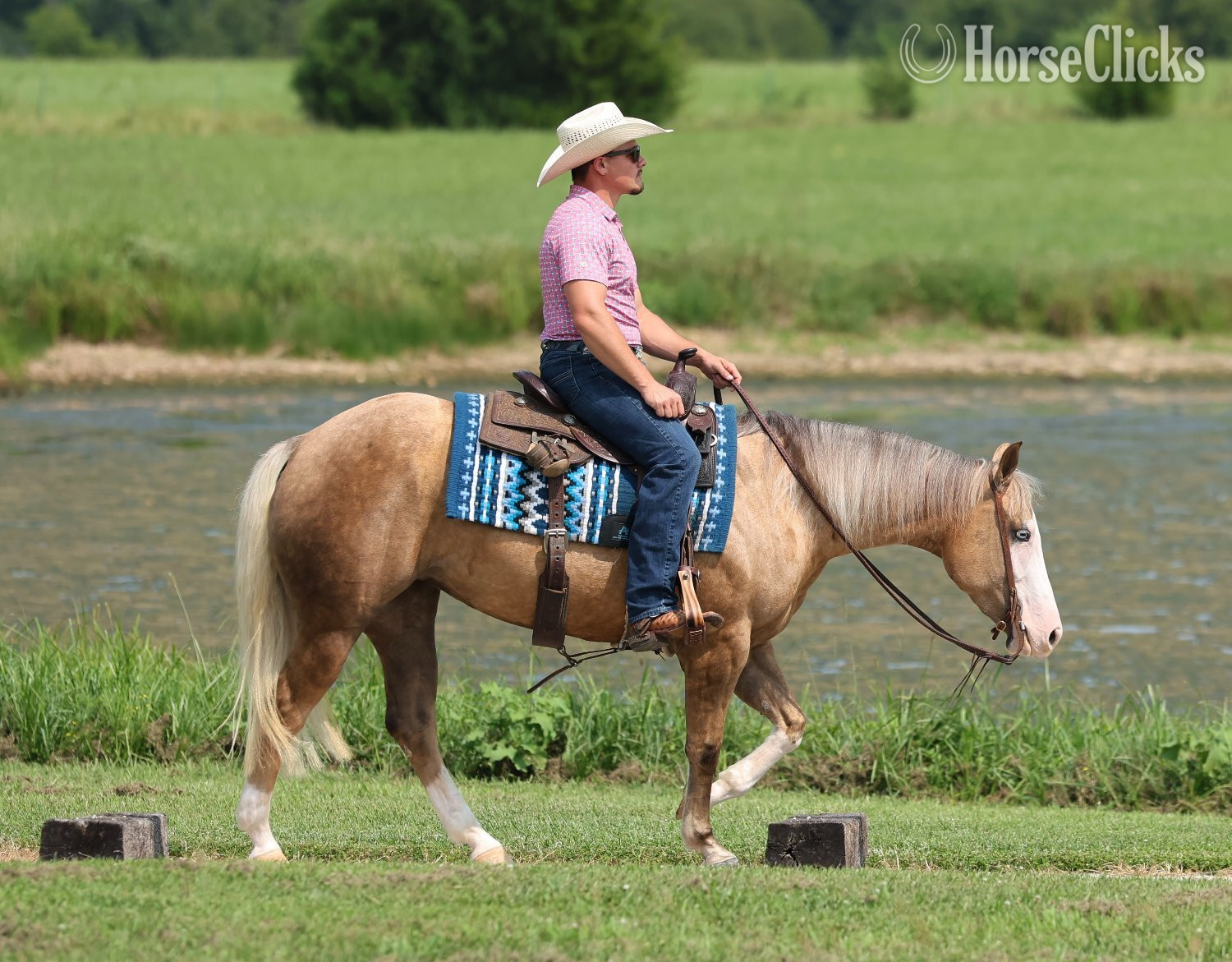 Missouri "Little Miss Inferno" Palomino Mare Quarter Horse