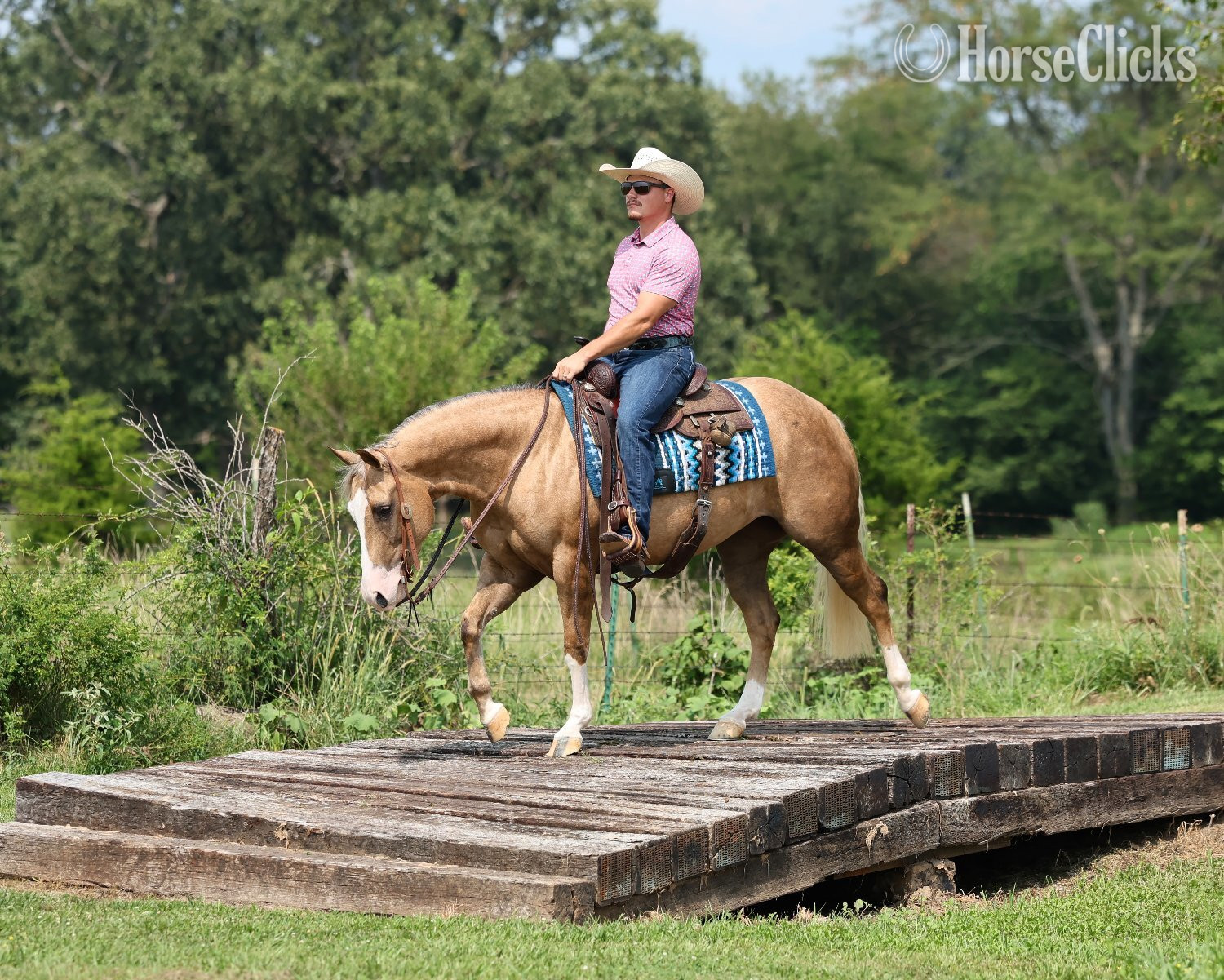 "Little Miss Inferno" Palomino Mare Quarter Horse - Quarter Horse in Missouri