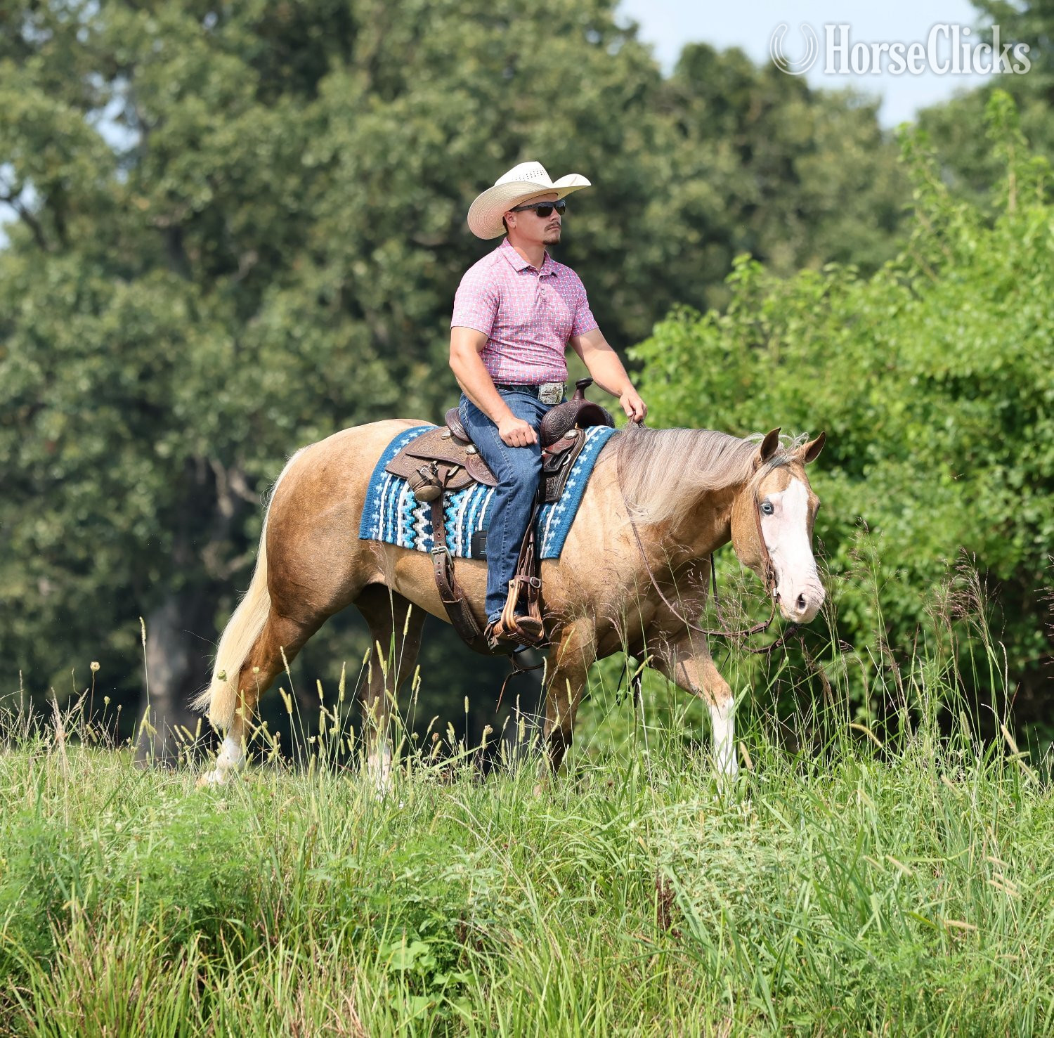 "Little Miss Inferno" Palomino Mare Quarter Horse - Quarter Horse