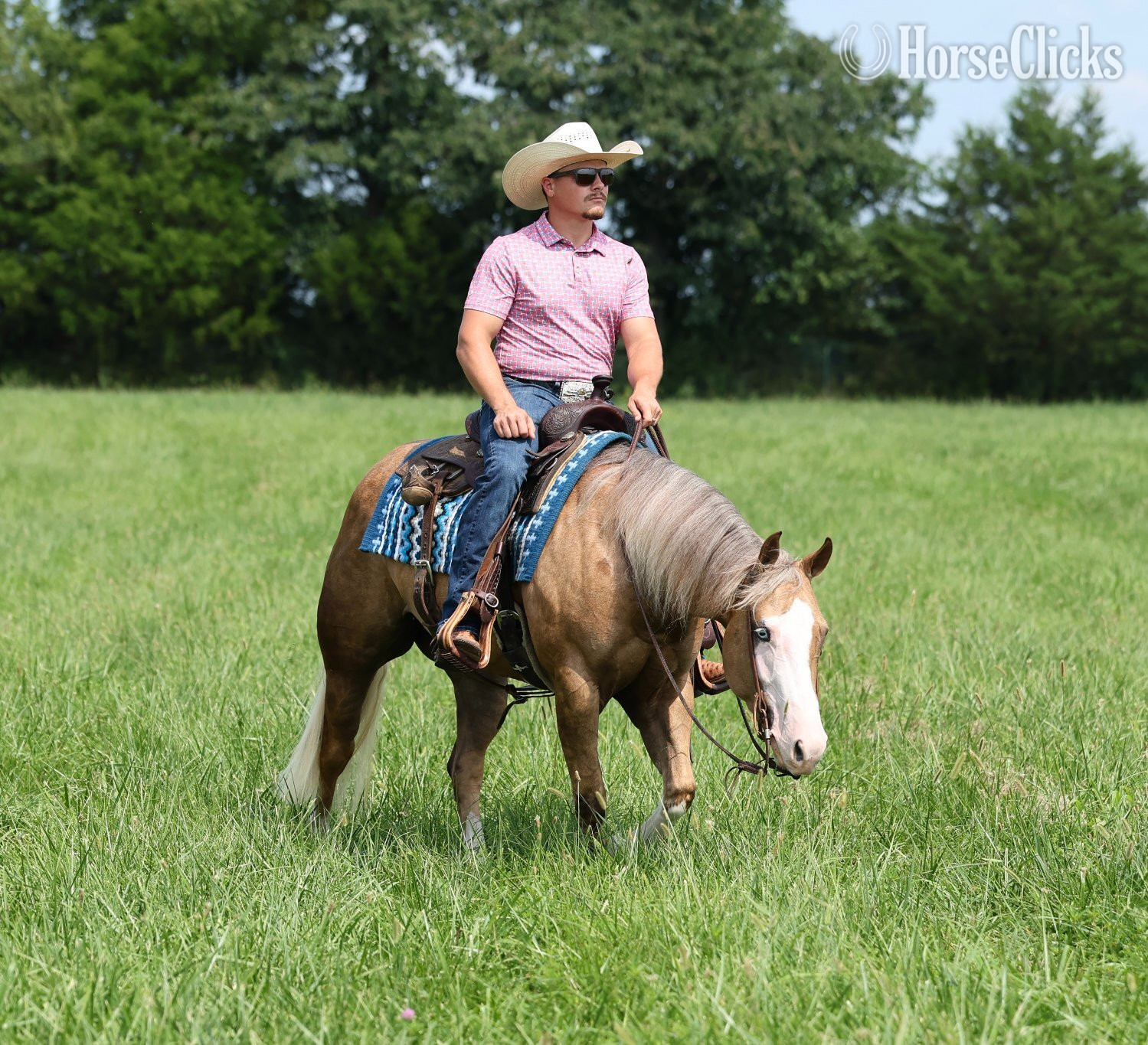 "Little Miss Inferno" Palomino Mare Quarter Horse Missouri