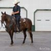 "Reba" Bay Roan Mare Quarter Horse in Missouri