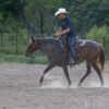 Missouri "Reba" Bay Roan Mare Quarter Horse