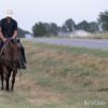 "Reba" Bay Roan Mare Quarter Horse - Quarter Horse