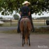Quarter Horse - "Reba" Bay Roan Mare Quarter Horse in Missouri